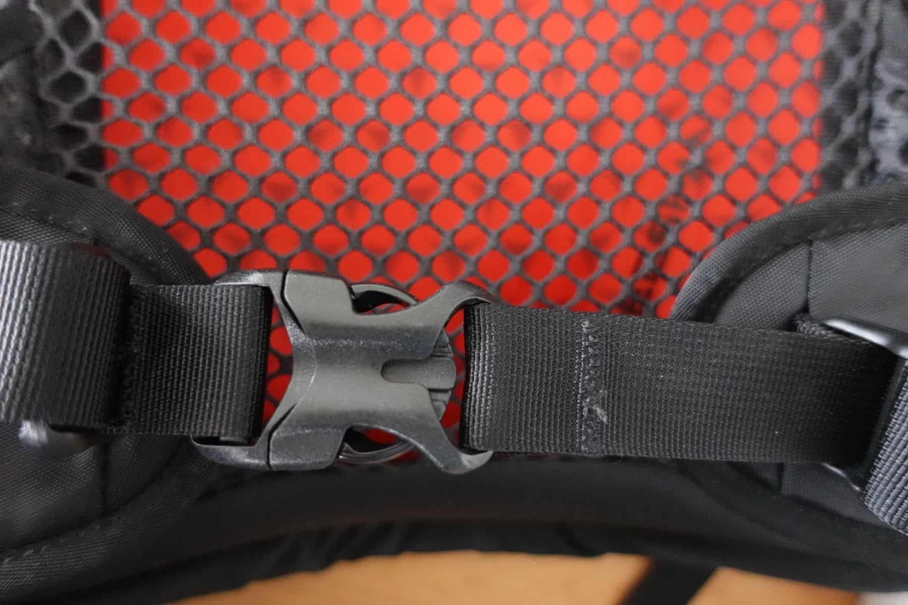 Gregory Arrio 30 Buckle Close Up