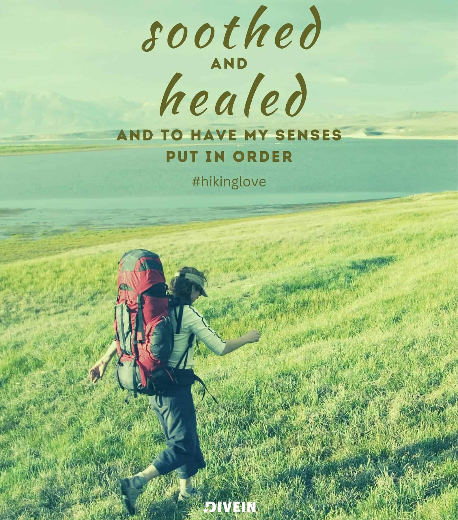 Hiking Captions for Instagram. I go to nature to be soothed and healed, and to have my senses put in order.