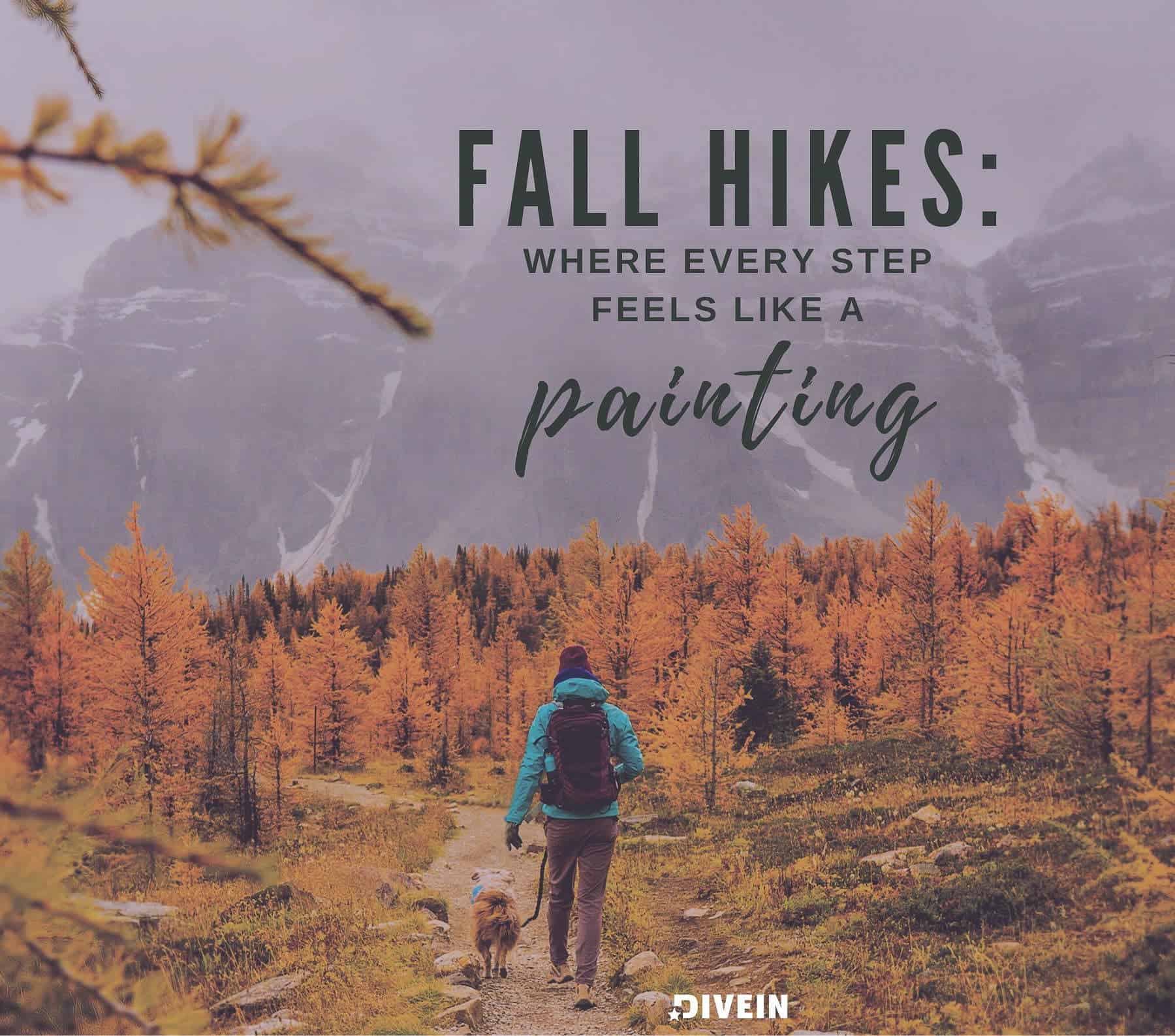 Fall Hiking Captions For Instagram. Fall hikes: where every step feels like a painting.
