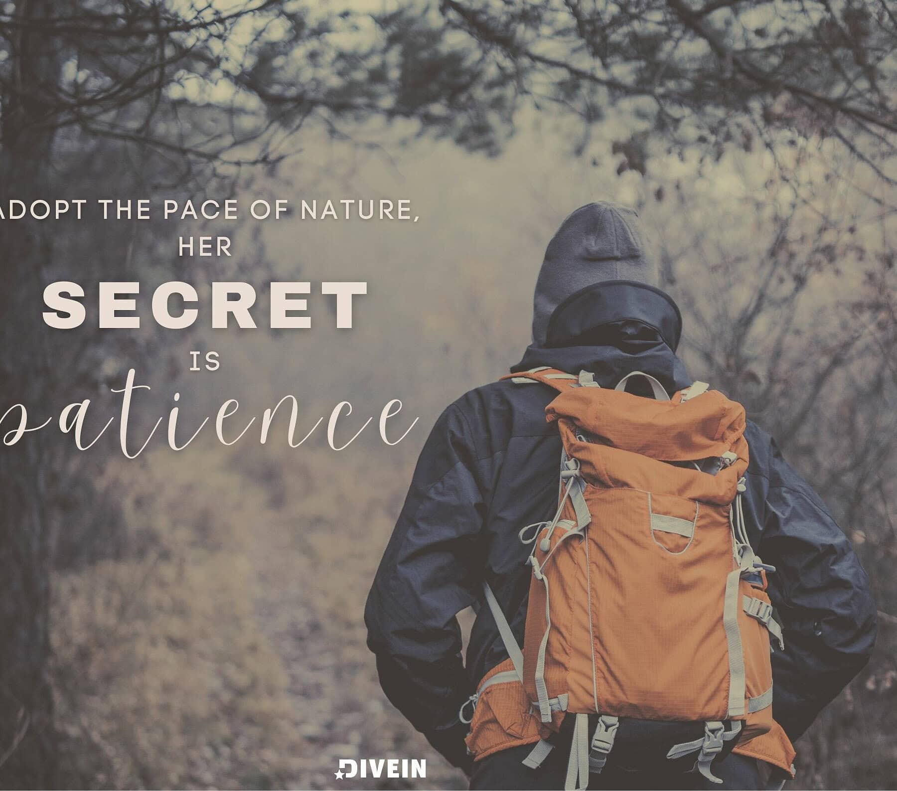Hiking Captions For Instagram. Adopt the pace of nature, her secret is patience.