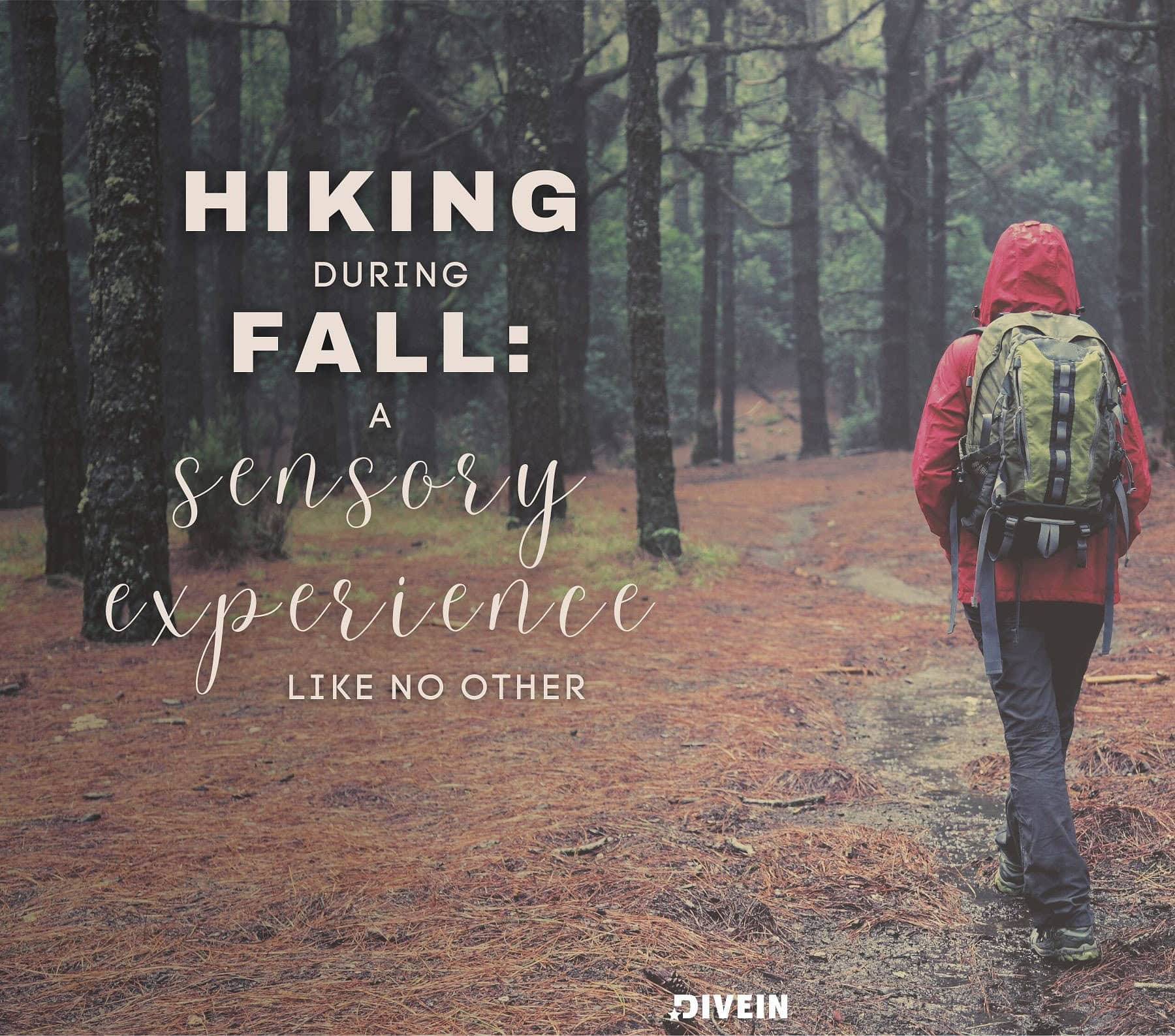 Fall Hiking Captions For Instagram. Hiking during fall: a sensory experience like no other.