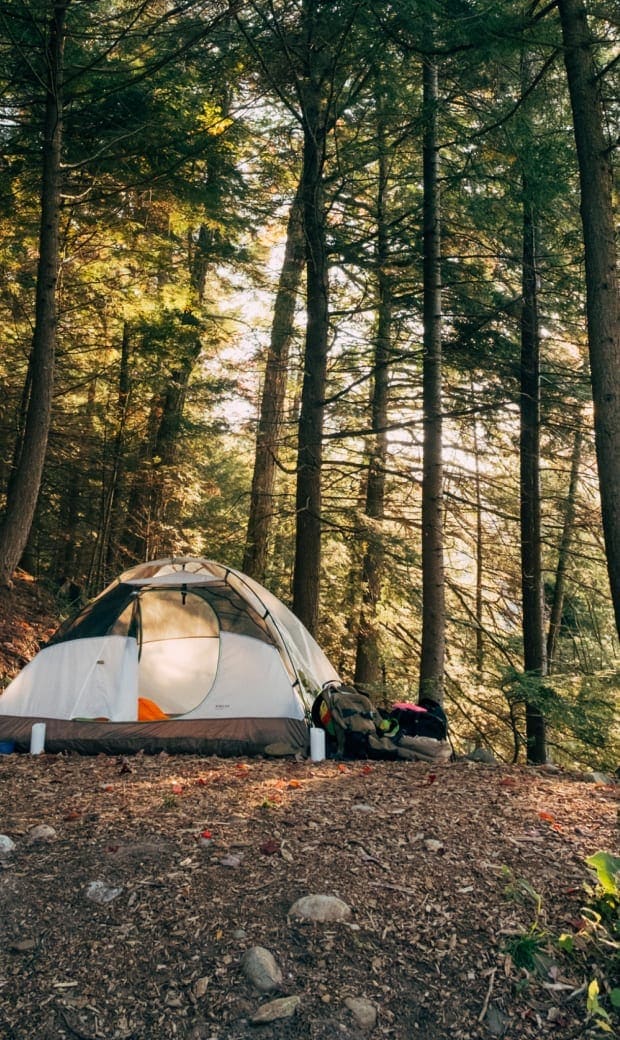Hipcamp is a popular campsite booking service that allows land owners and managers to rent out sites
