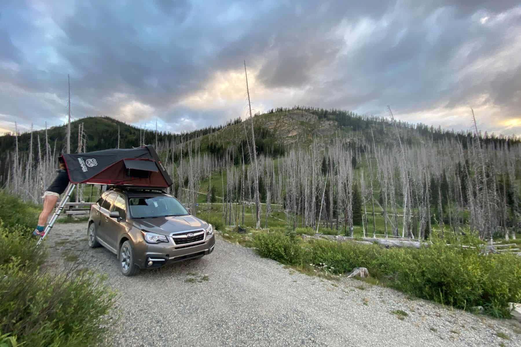 What 10 dollars gets you: a clear level place to park, a picnic table, fire pit, and glorious views