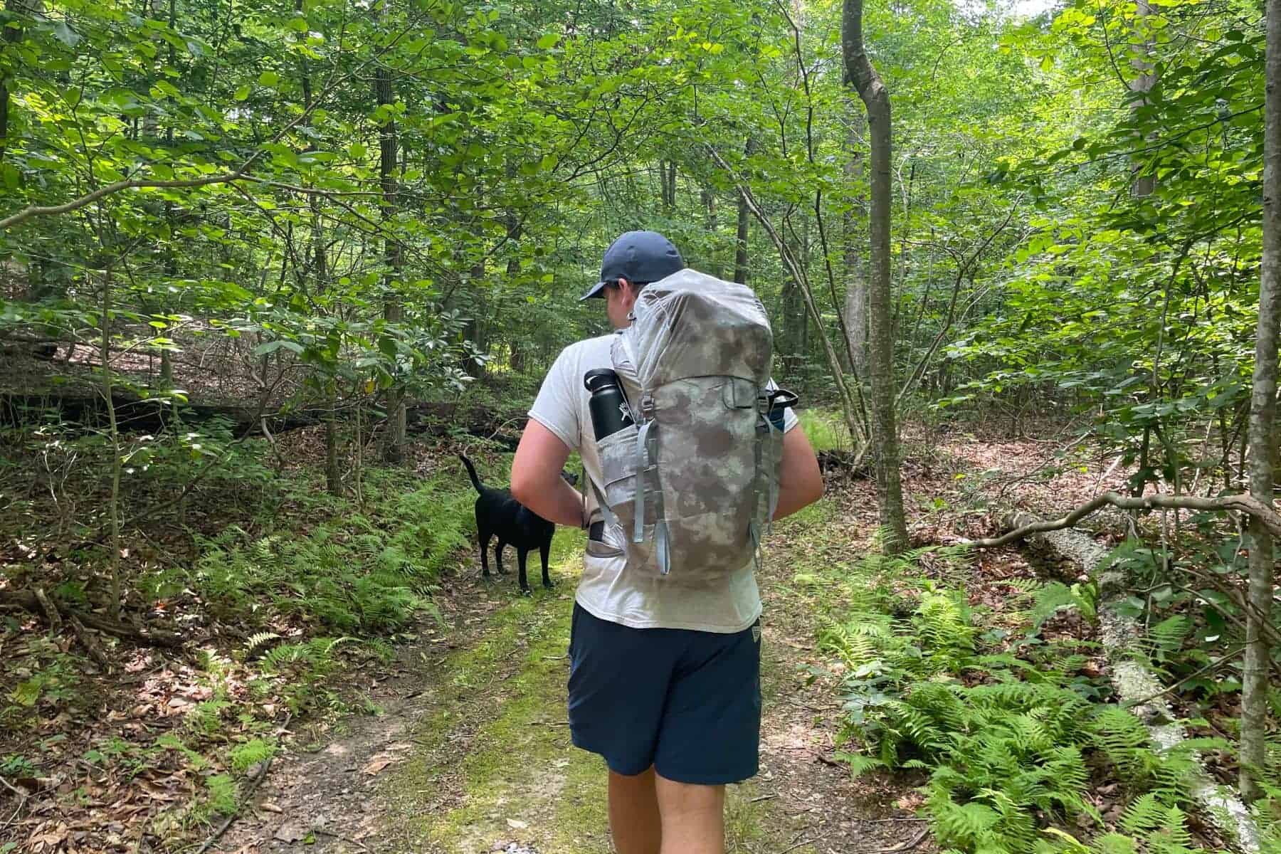 jack-wolfskin-3d-aerorise-40-hiking