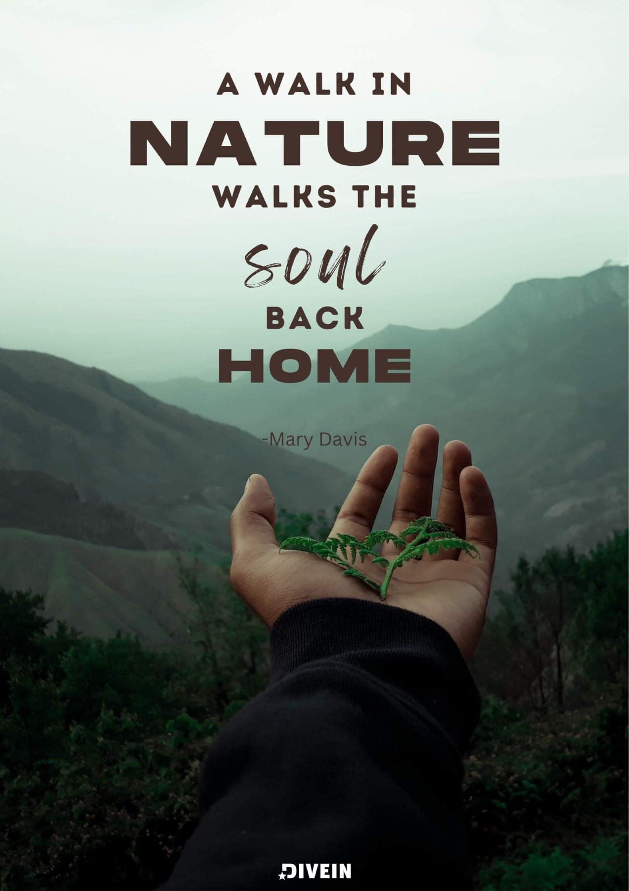 VISA - Not A Tourist (7) | Images :: Behance, image size:1272x1800