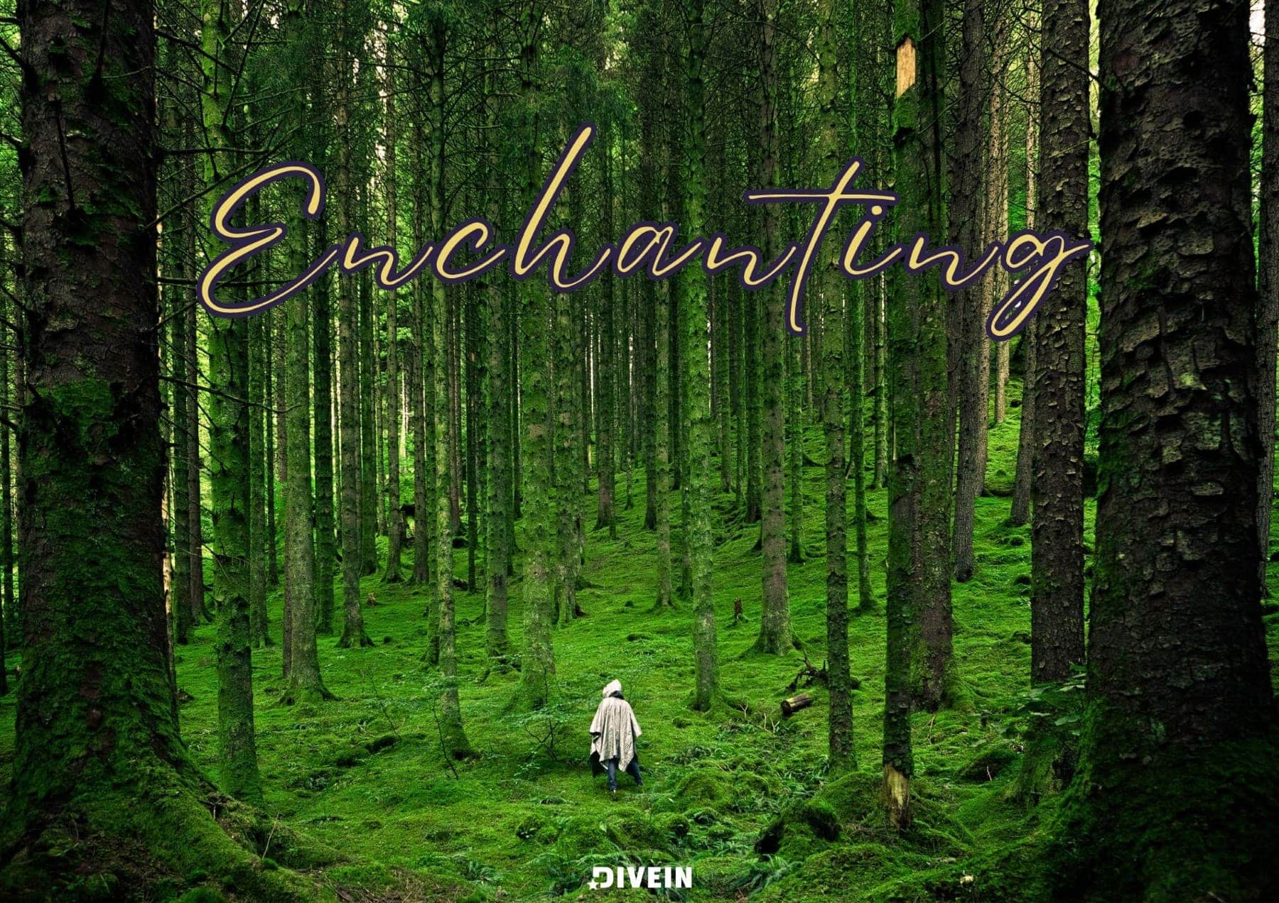 One Word Nature Captions for Instagram. Enchanting