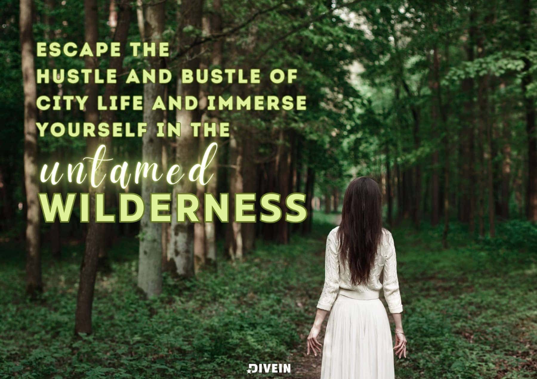 Wild Nature Captions. Escape the hustle and bustle of city life and immerse yourself in the untamed wilderness.