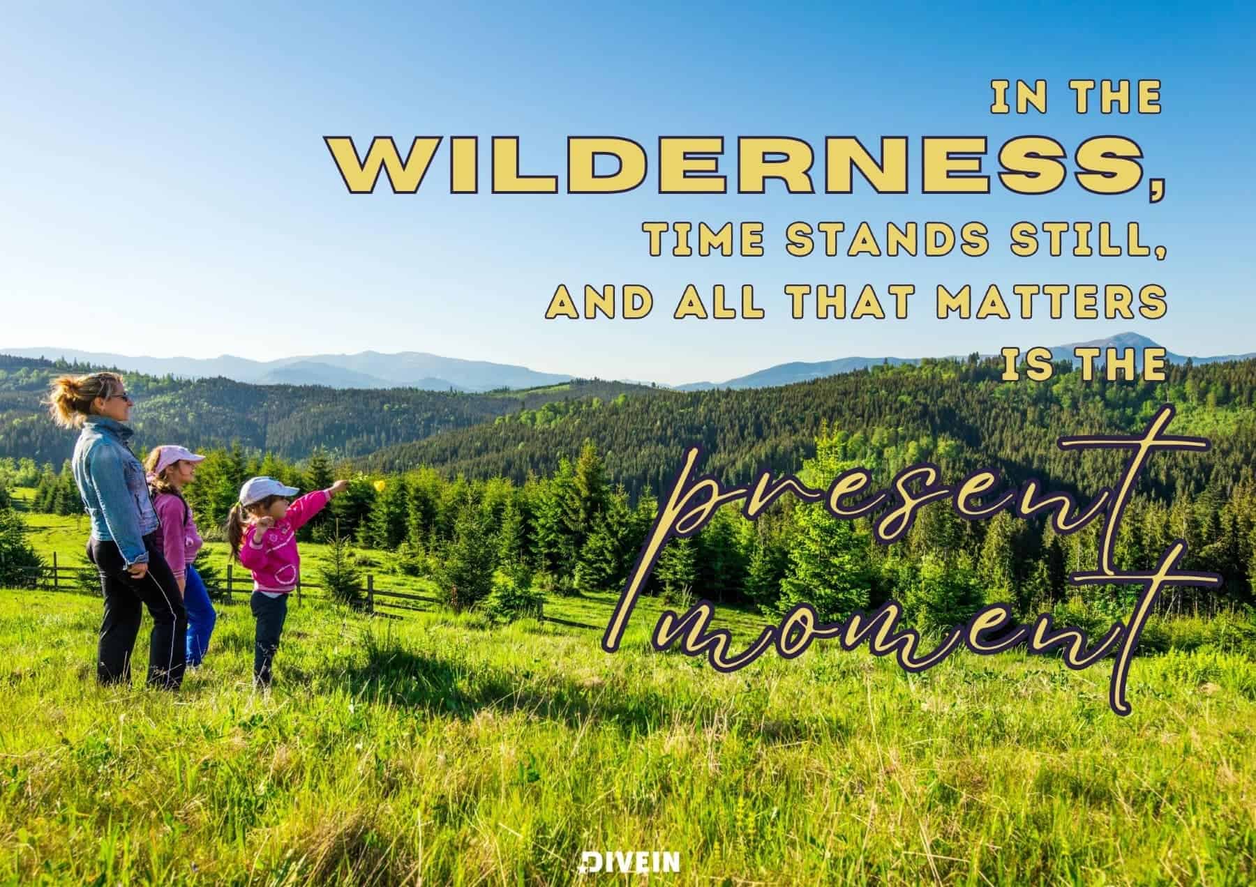 Wild Nature Captions. In the wilderness, time stands still, and all that matters is the present moment.