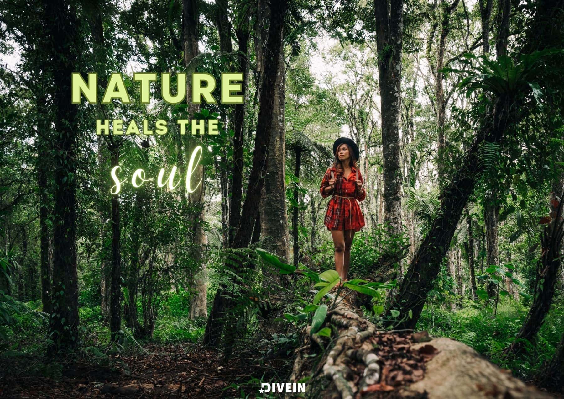 Simple Nature Quotes for Instagram. Nature heals the soul.