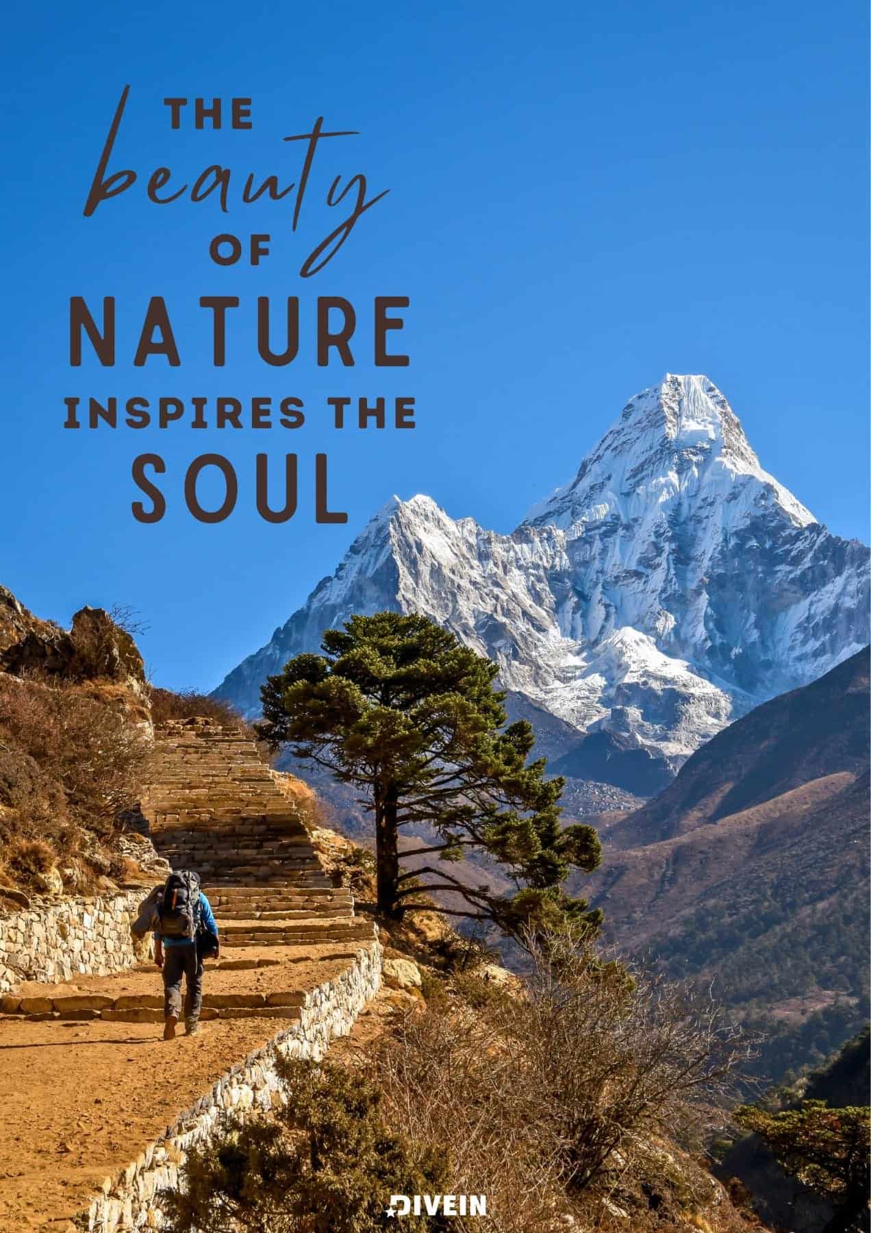 Best Nature Captions for Instagram. The beauty of nature inspires the soul.