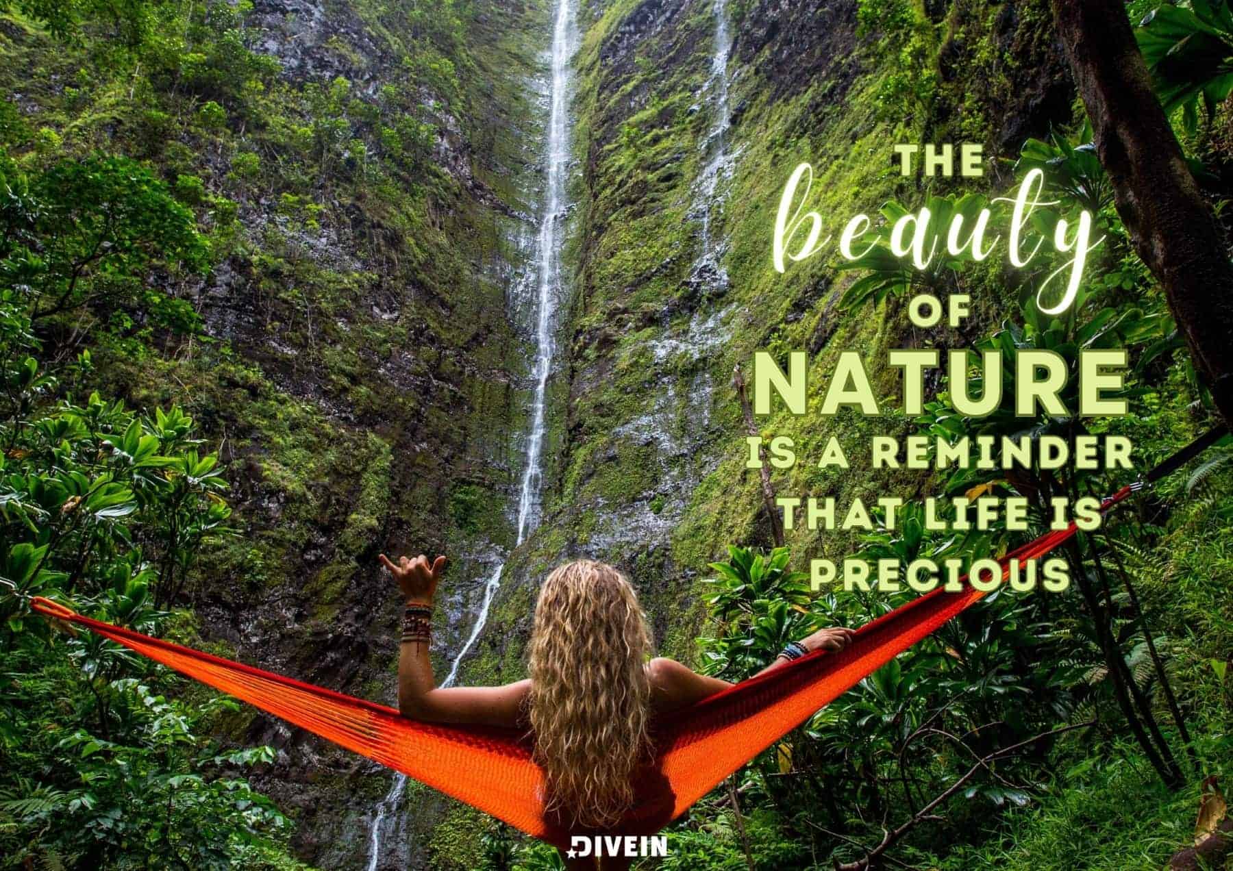 Nature Captions about being Outside. The beauty of nature is a reminder that life is precious.