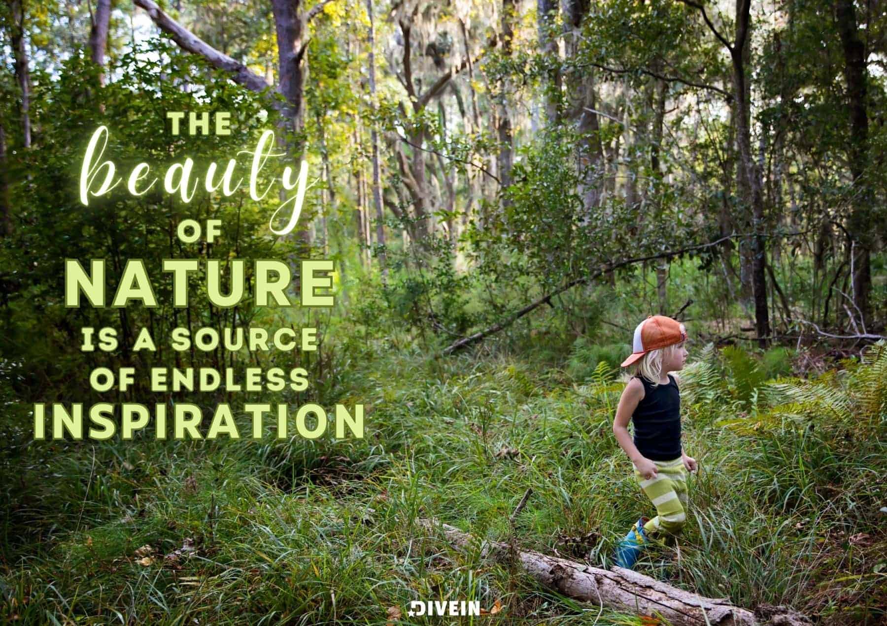 Captions about Nature’s Beauty. The beauty of nature is a source of endless inspiration.