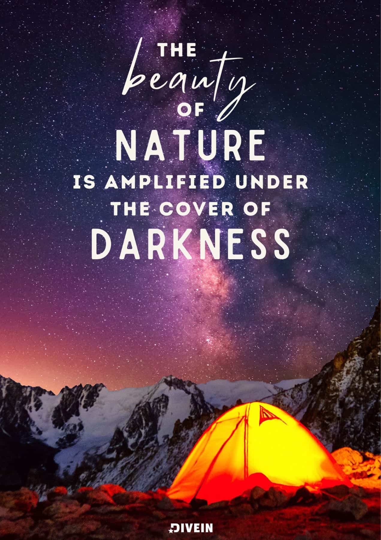 Instagram Captions about Nature at Night. The night sky is a canvas, and nature is the artist.