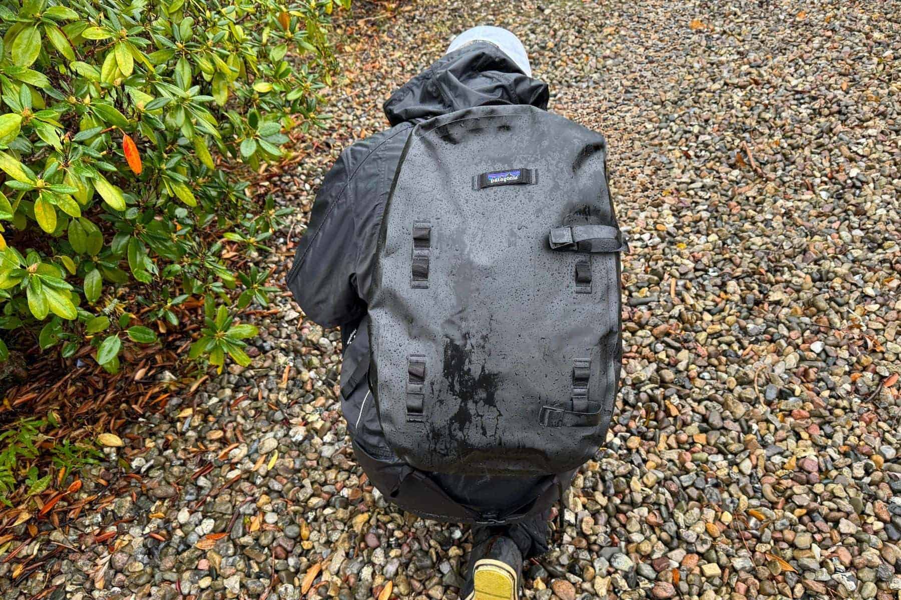 patagonia-guidewater-backpack-29l-back-view