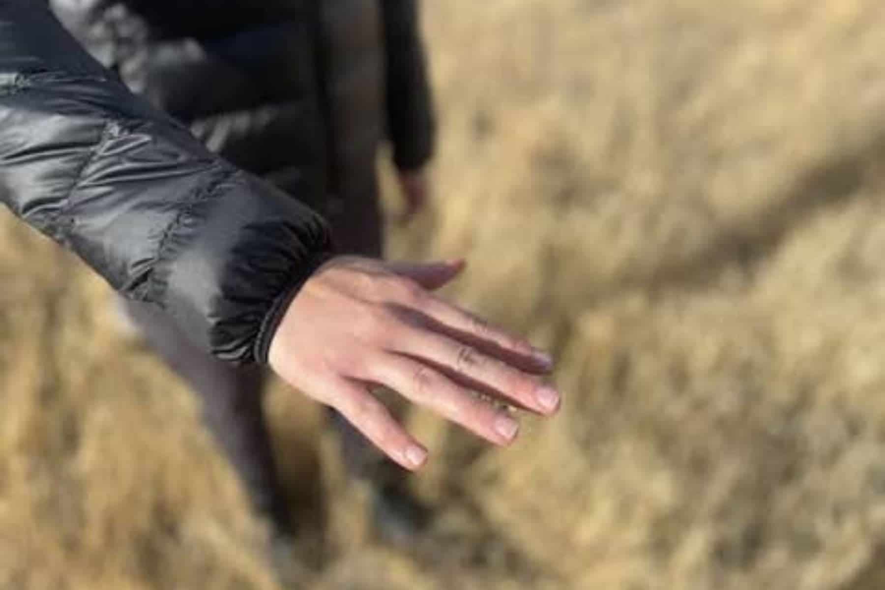 the-puffer-jacket-reveal-hand