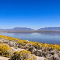 Take in the Great Salt Lake