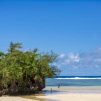 Explore The Coral Coast