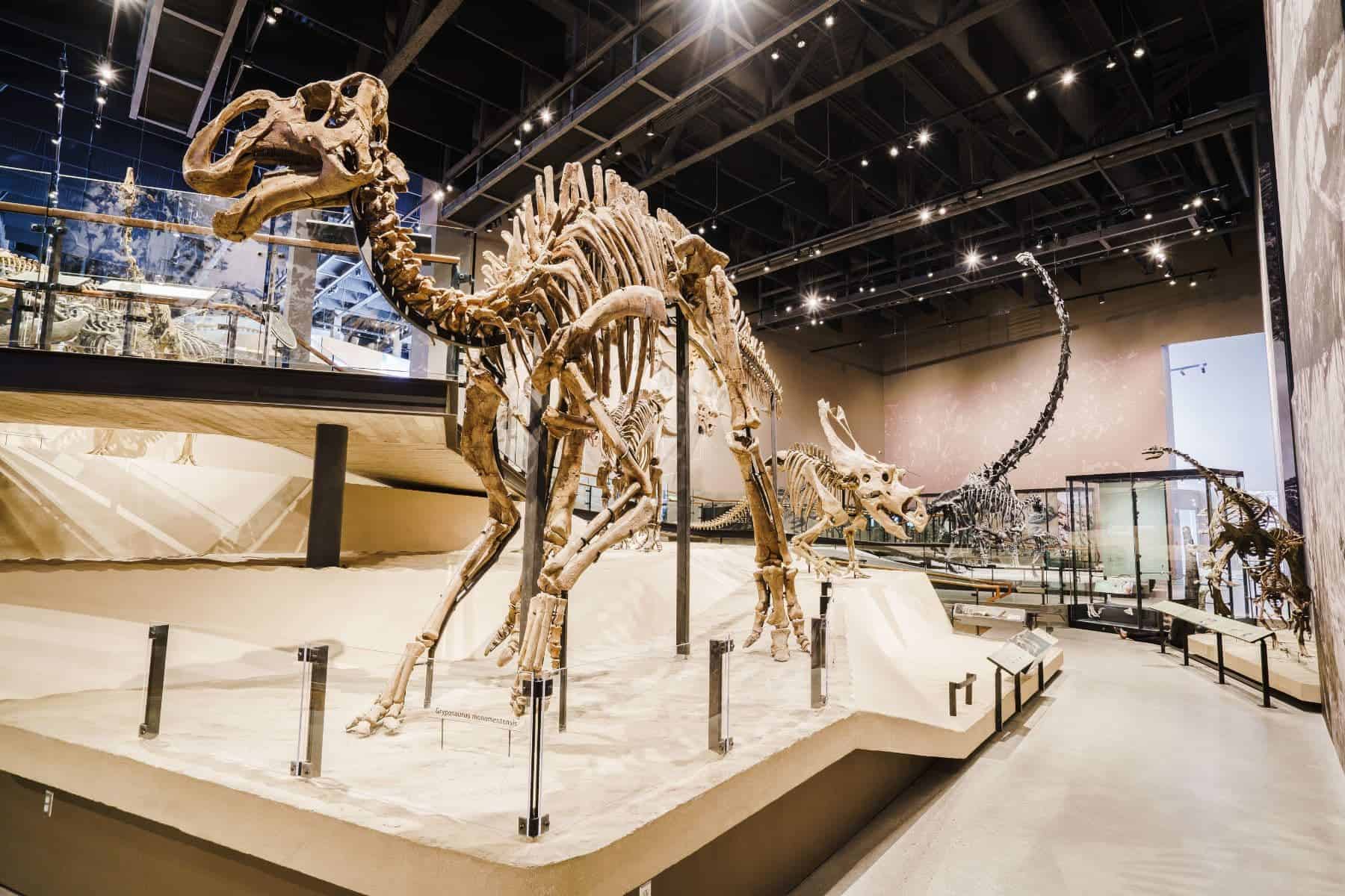 The Natural History Museum of Utah