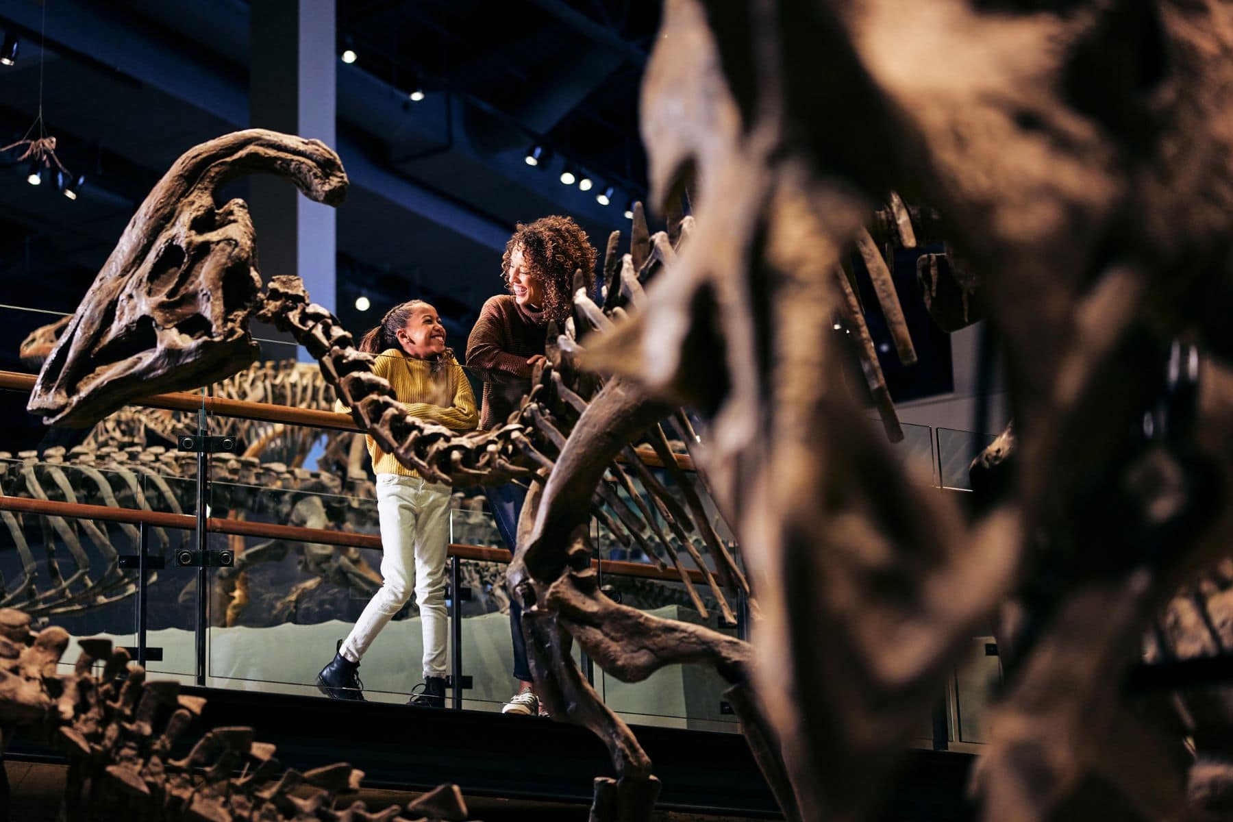 Natural History Museum Of Utah Kid