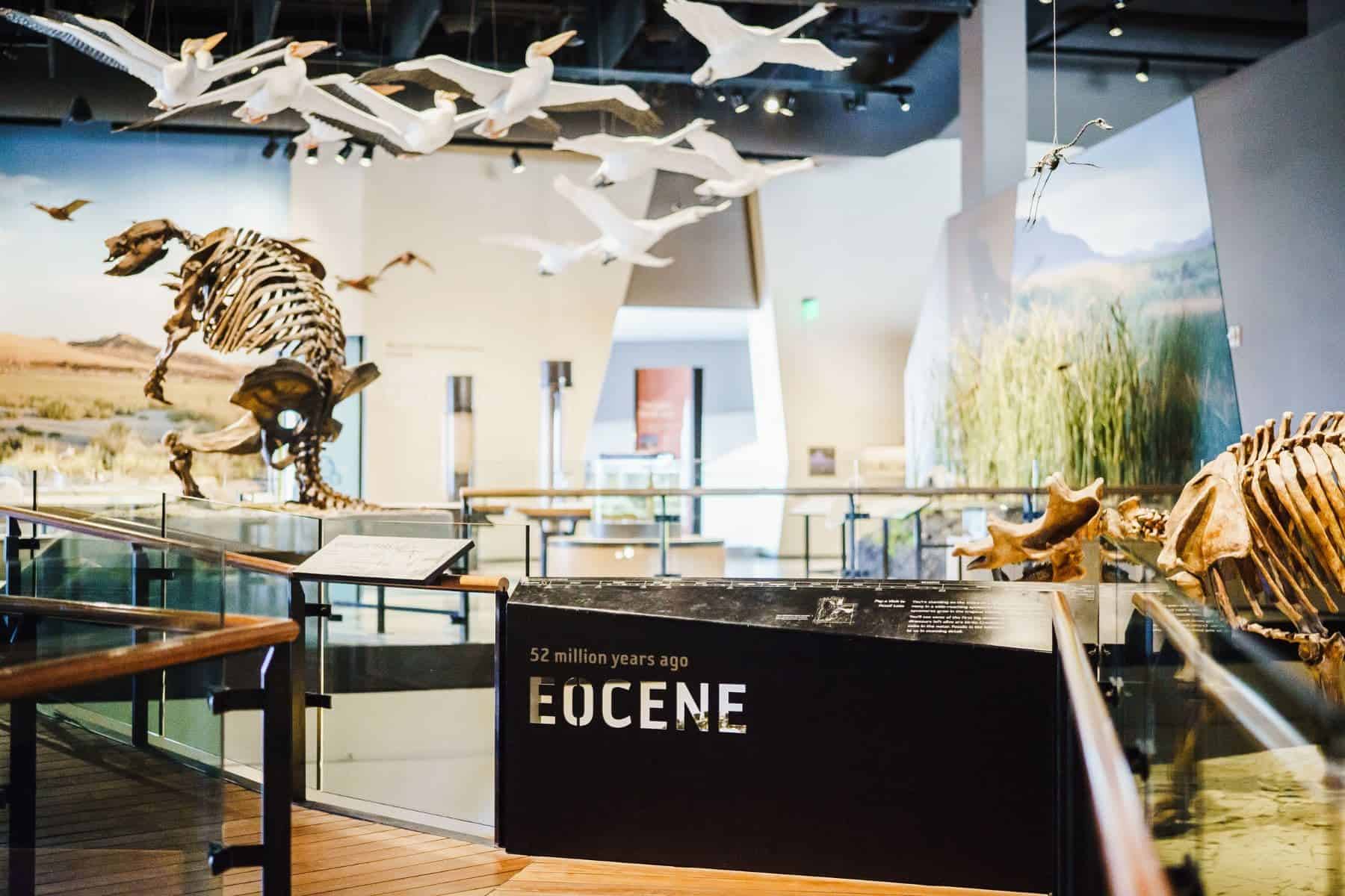 Natural History Museum Of Utah