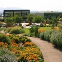 Smell the Flowers in Red Butte Garden