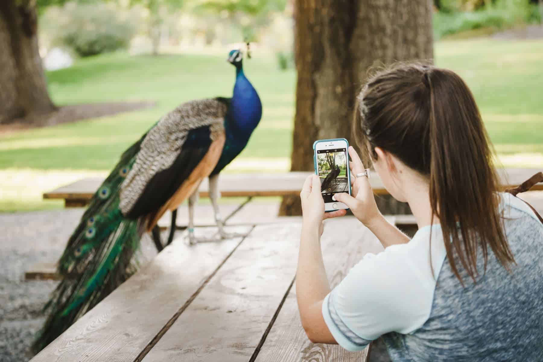 Tracy Aviary Cellphone