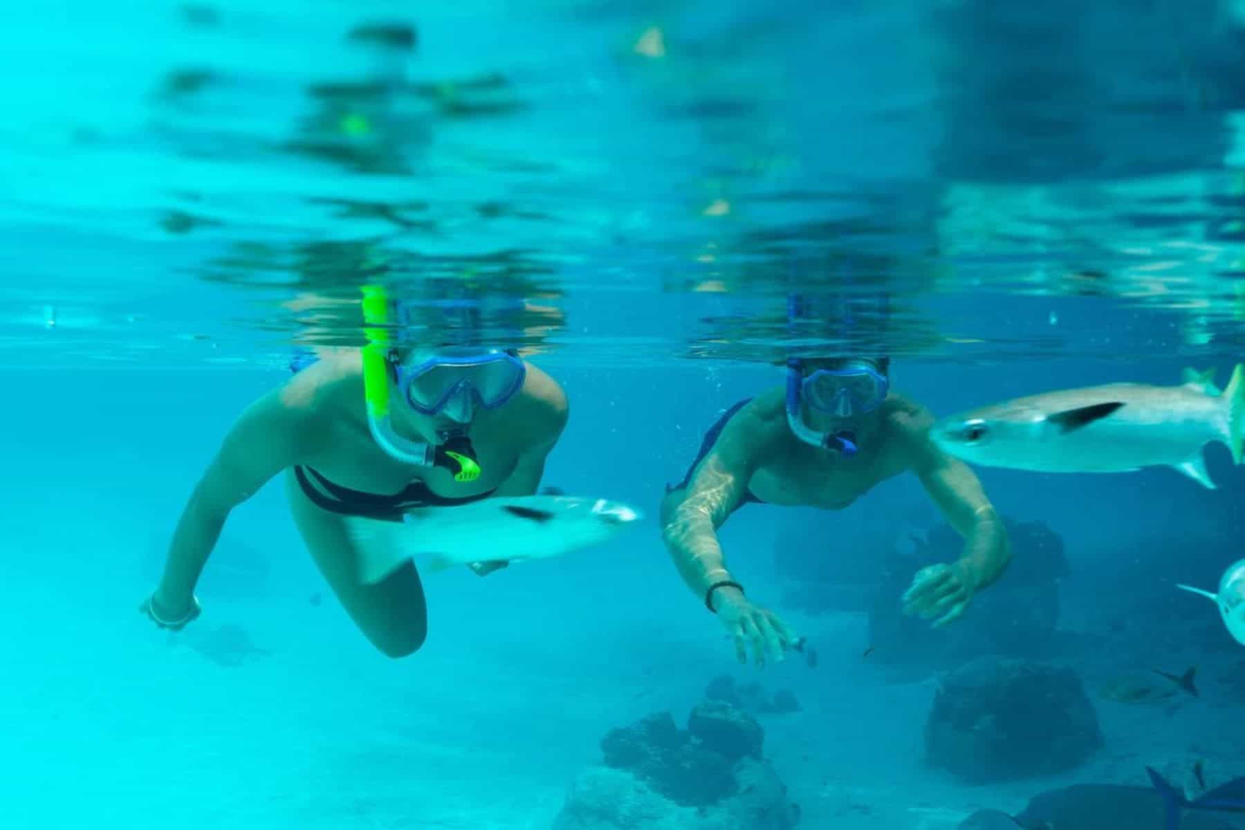 Activities At St Regis