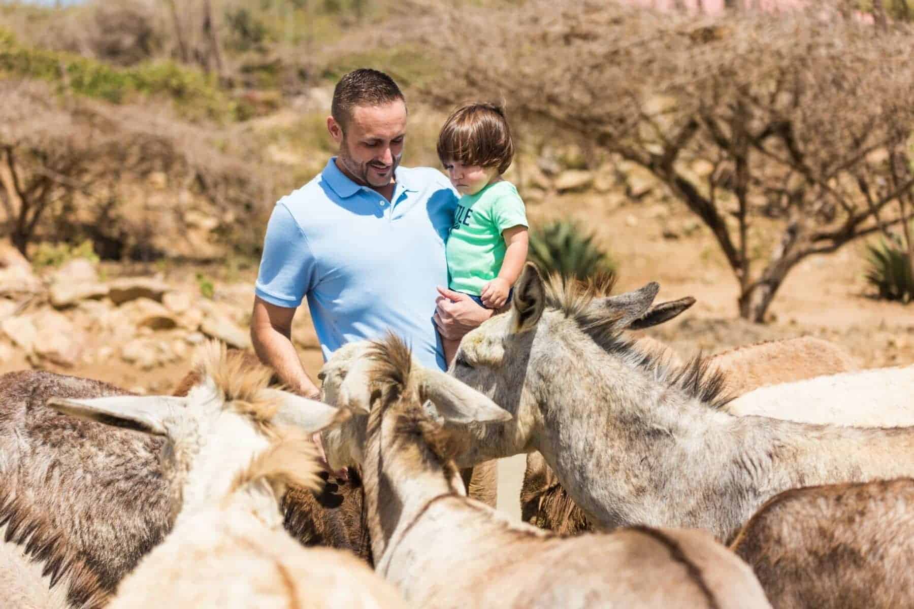 Donkey Sanctuary Visit
