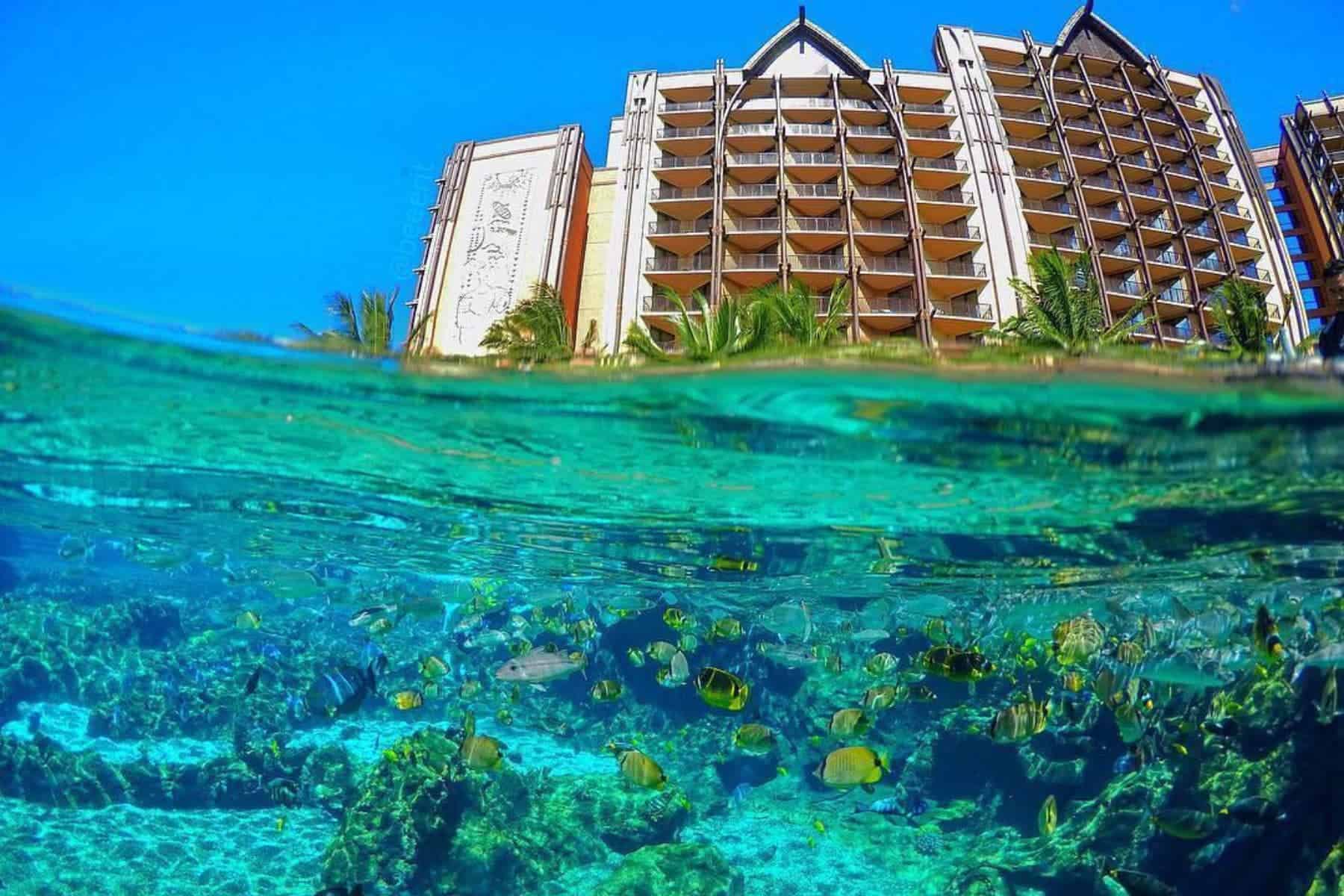 aulani-disney-resort-underwater-view