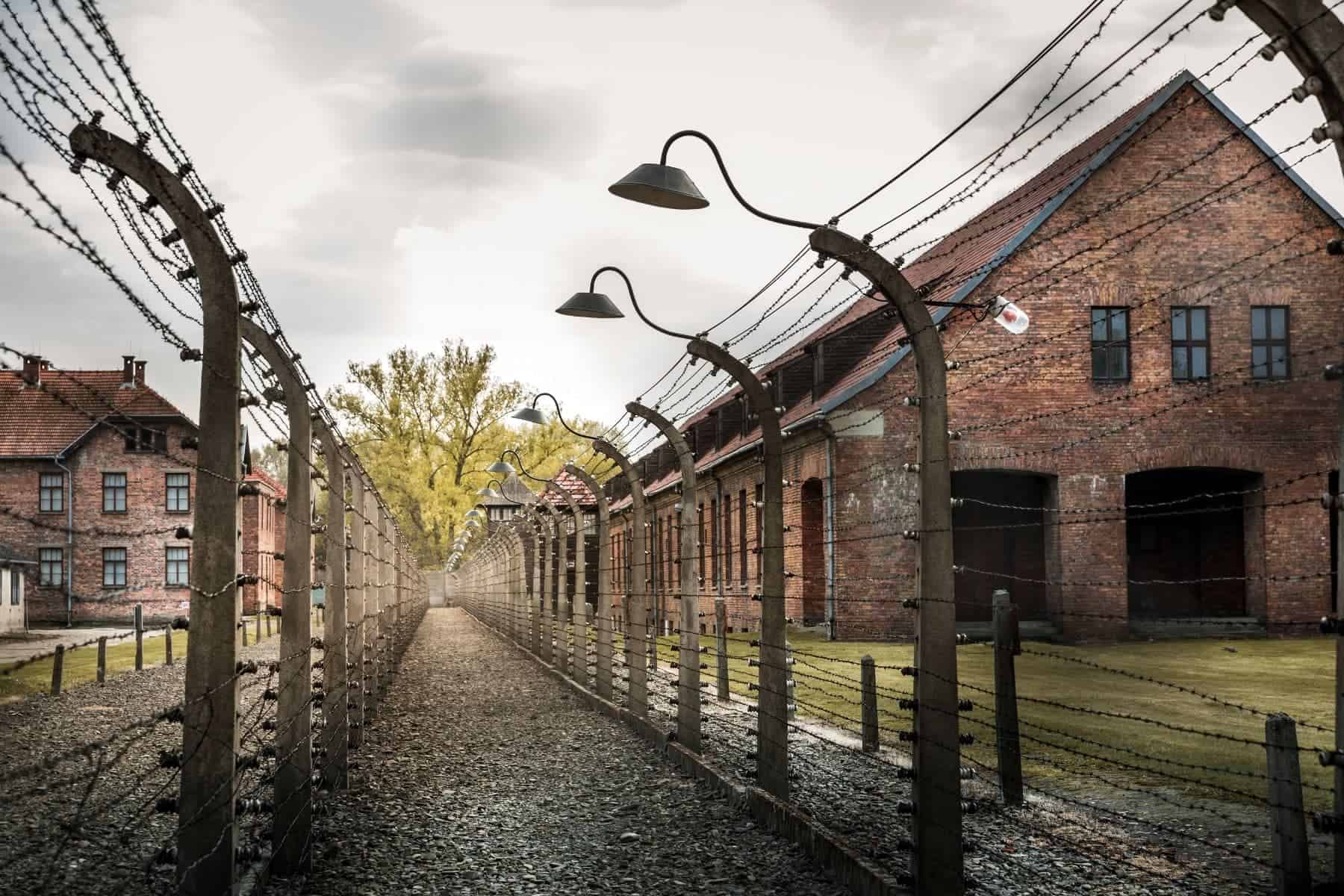 auschwitz-birkenau