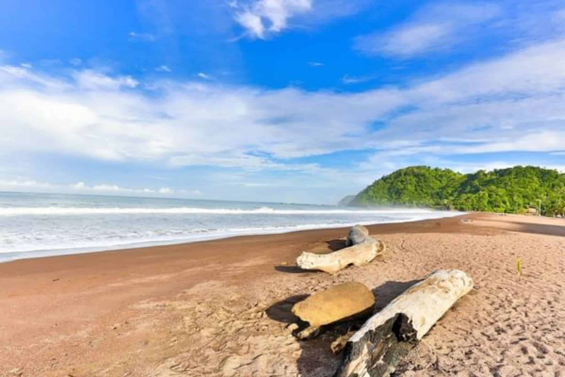 best-western-jaco-beach-shoreline