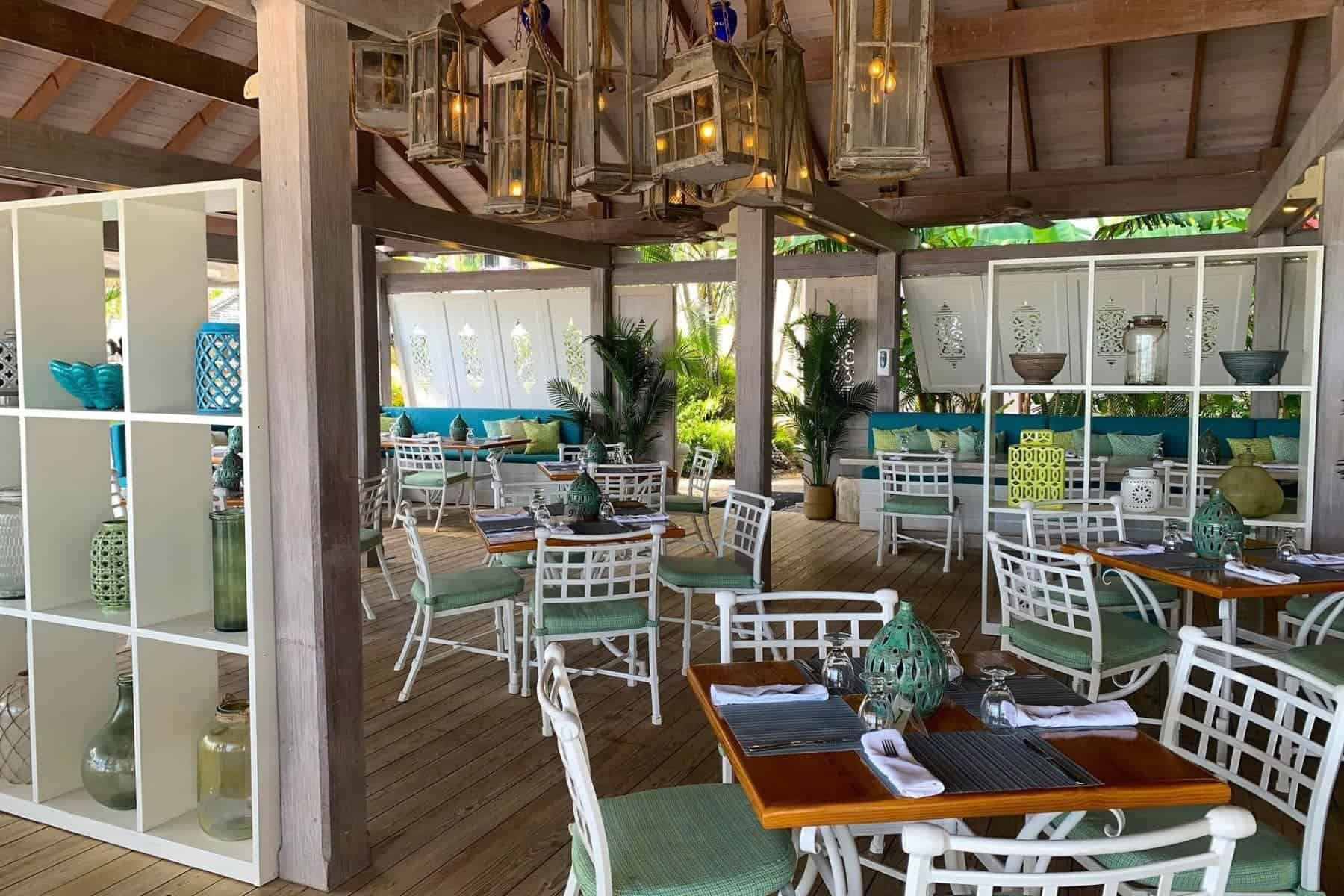 Bougainvillea Barbados Chairs