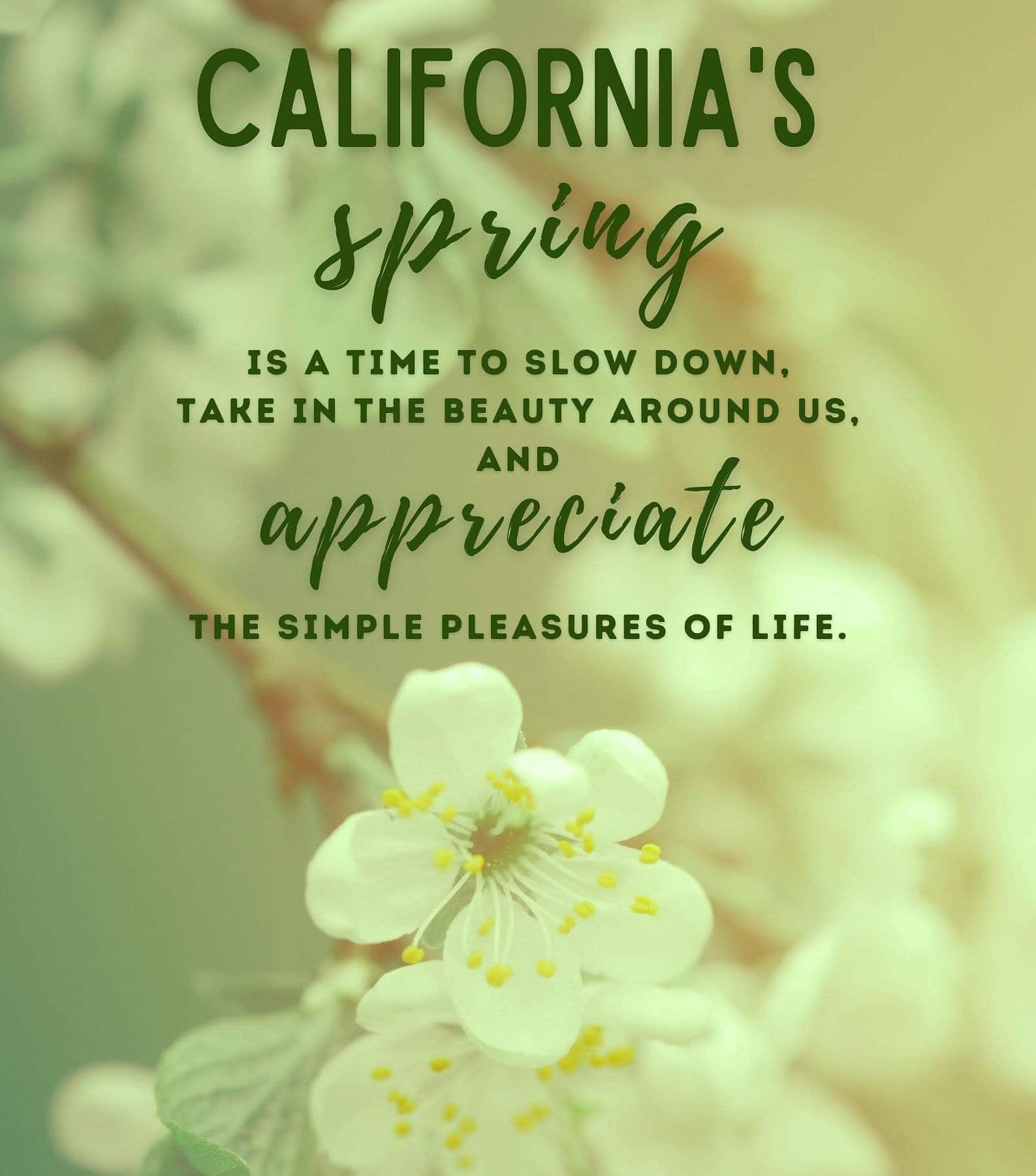 California Spring Photo Quotes. Californias spring is a time to slow down, take in the beauty around us, and appreciate the simple pleasures of life.