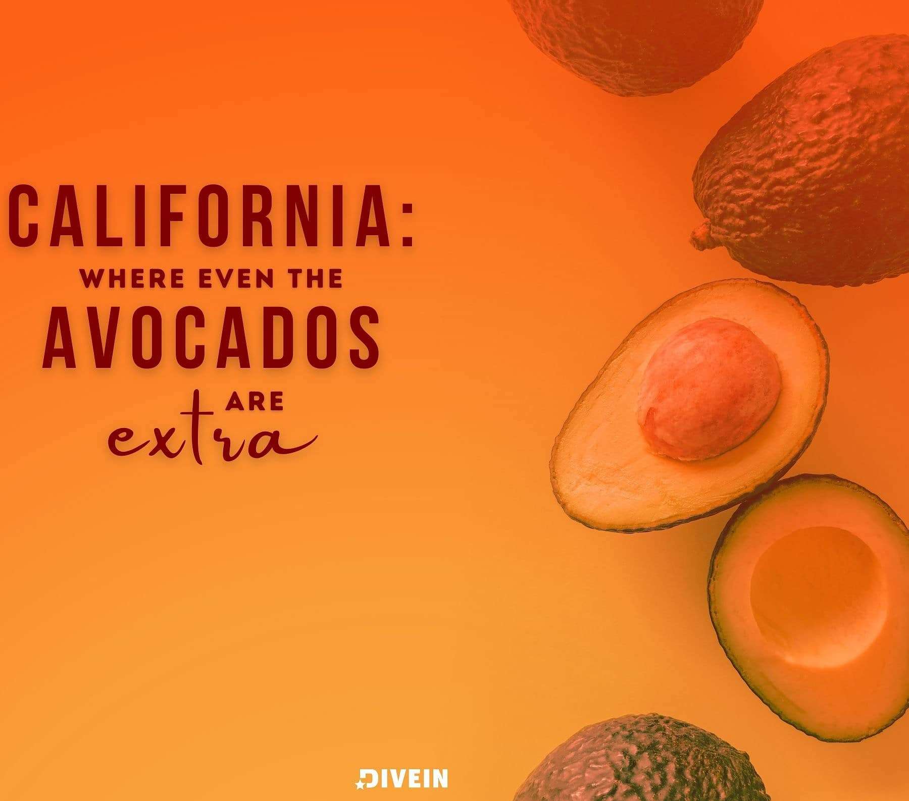 Funny California Instagram Captions. California, where even the avocados are extra.