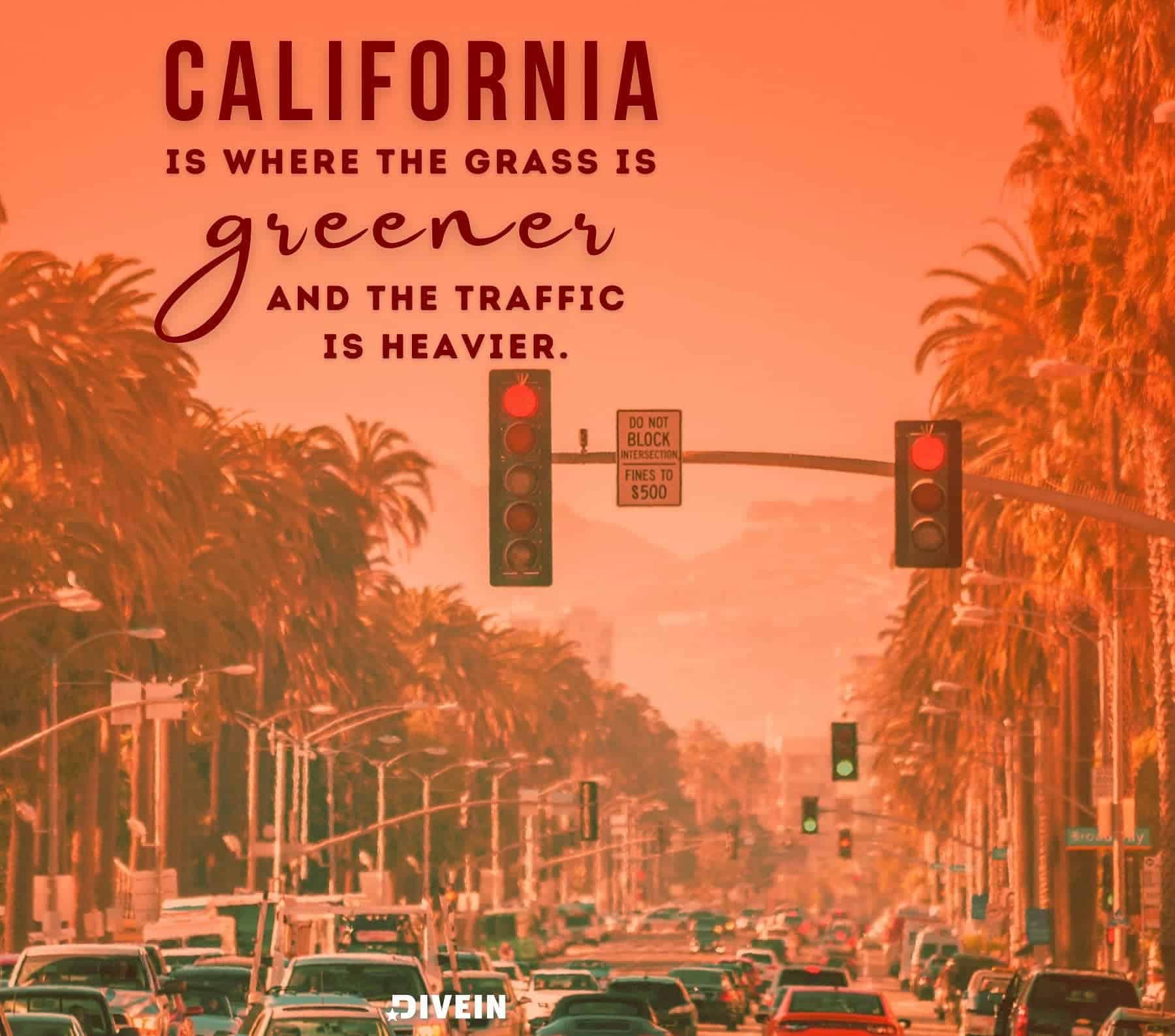 California Puns Captions. California is where the grass is greener and the traffic is heavier.