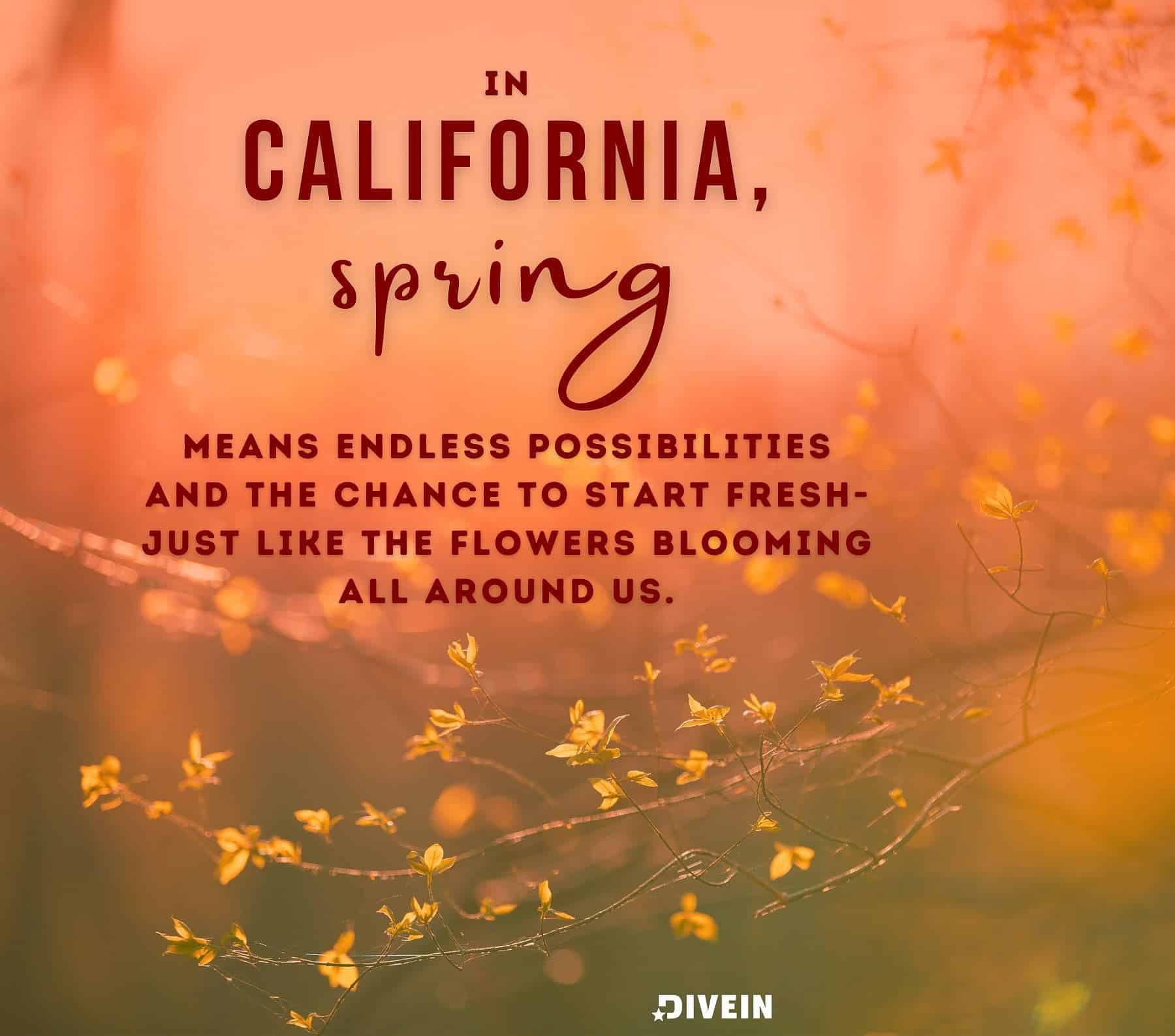 California Spring Photo Quotes. In California, spring means endless possibilities and the chance to start fresh, just like the flowers blooming all around us.