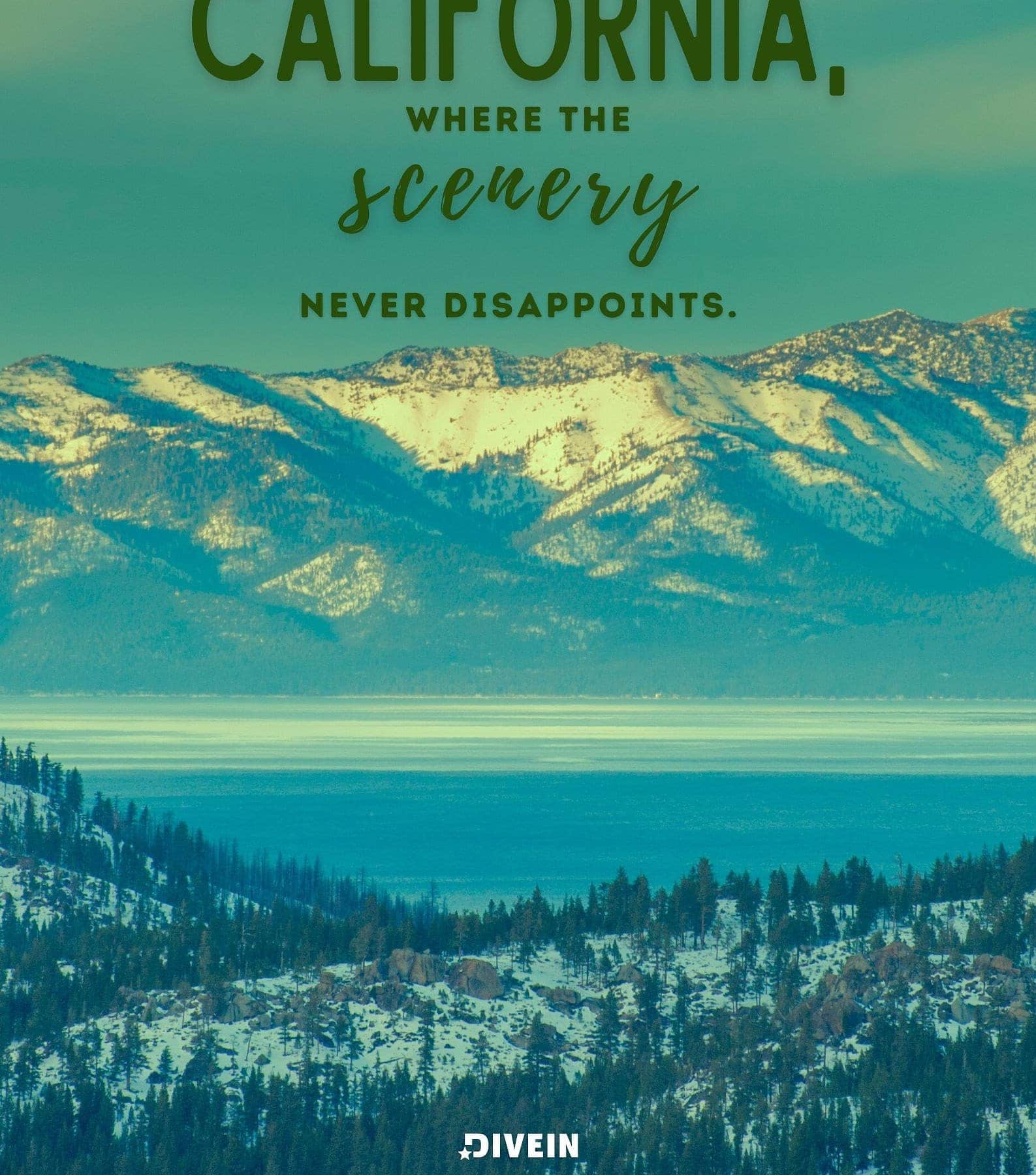 201+ Creative California Instagram Captions \u0026 Cali Quotes - Outoria, image size:1587x1800