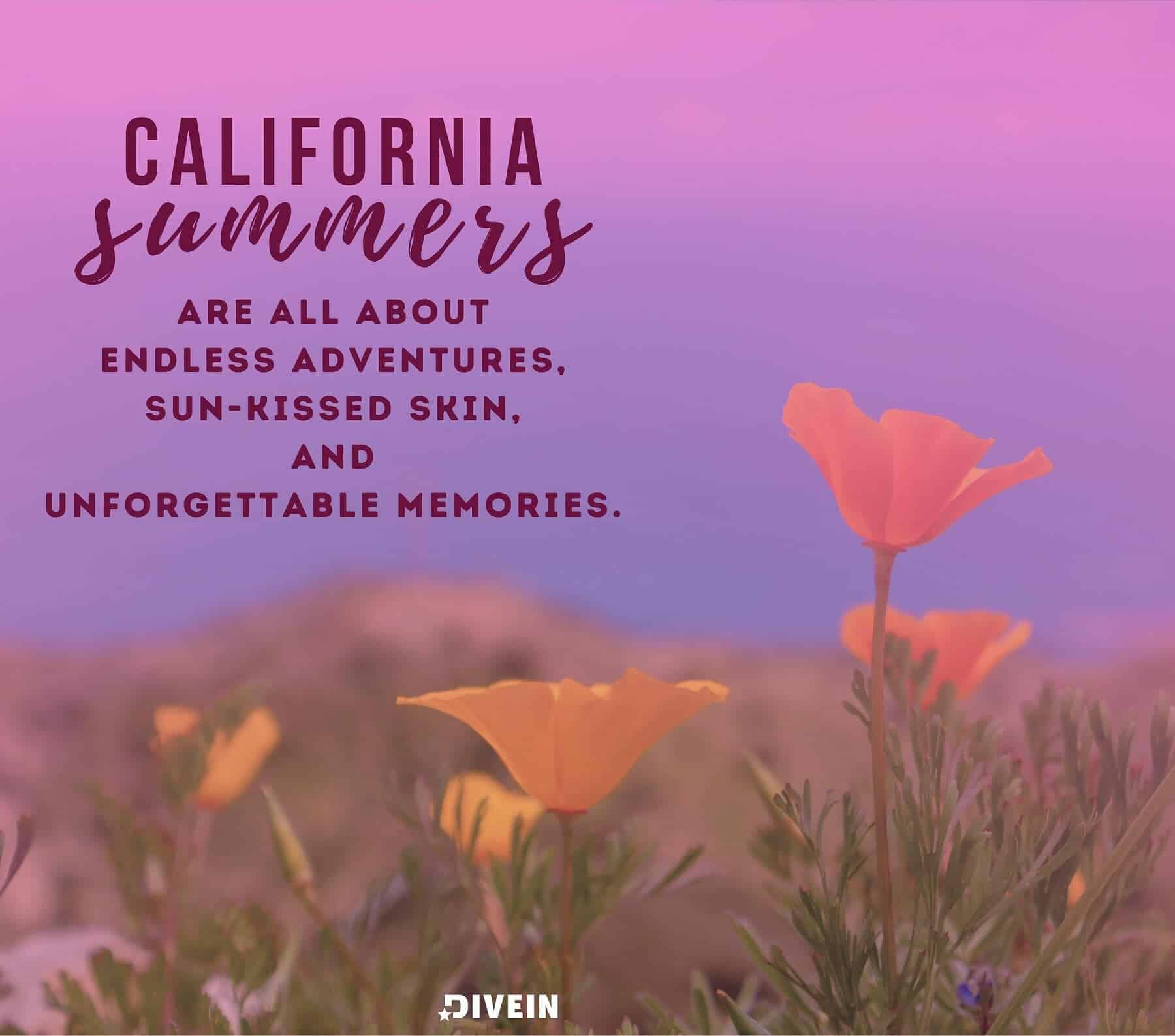 California Summer Photo Quotes. California summers are all about the endless adventures, sun-kissed skin, and unforgettable memories.