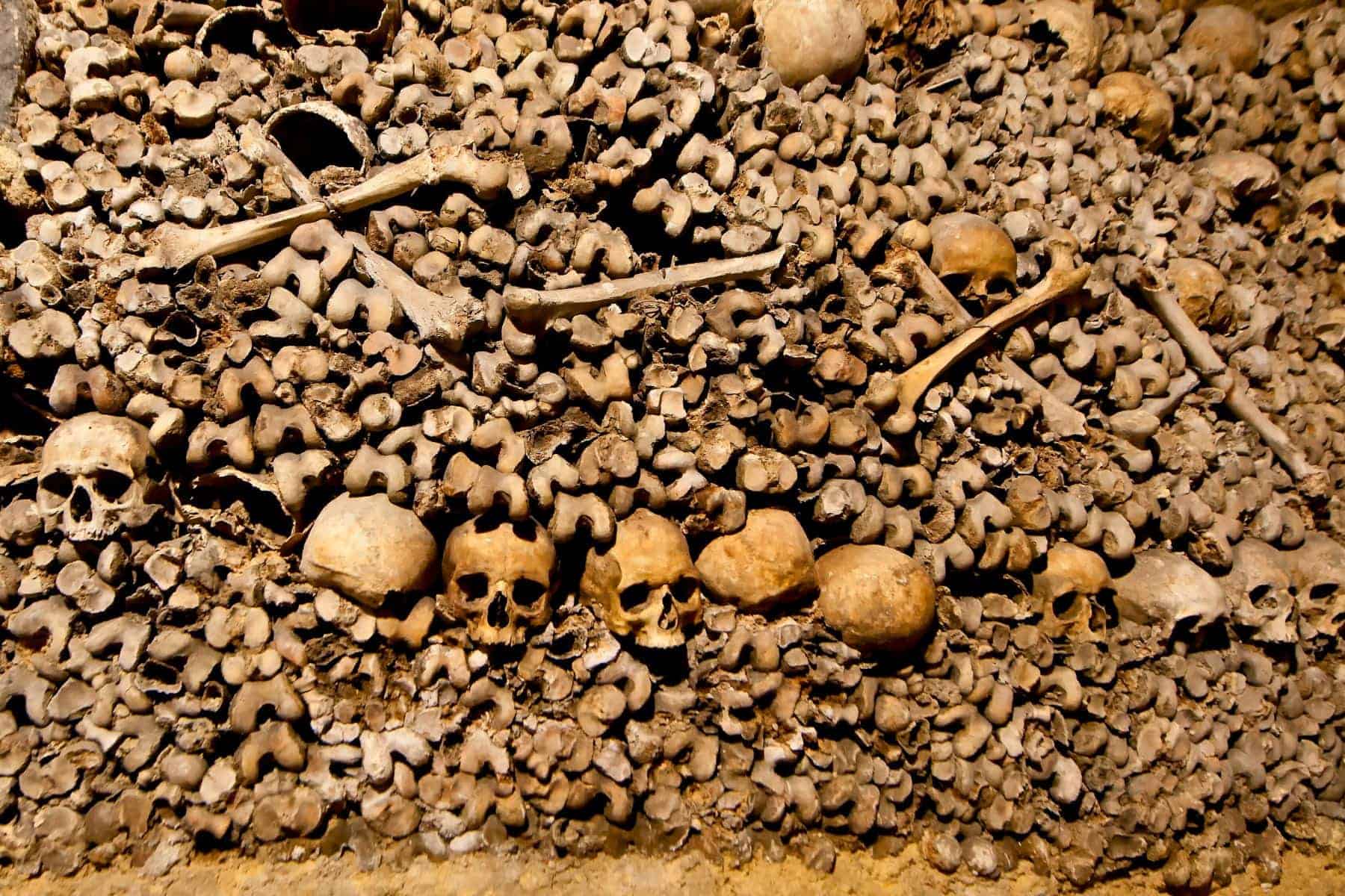 Catacombs Of Paris