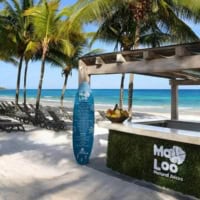 Have Drinks At An Ocean-Front Resort