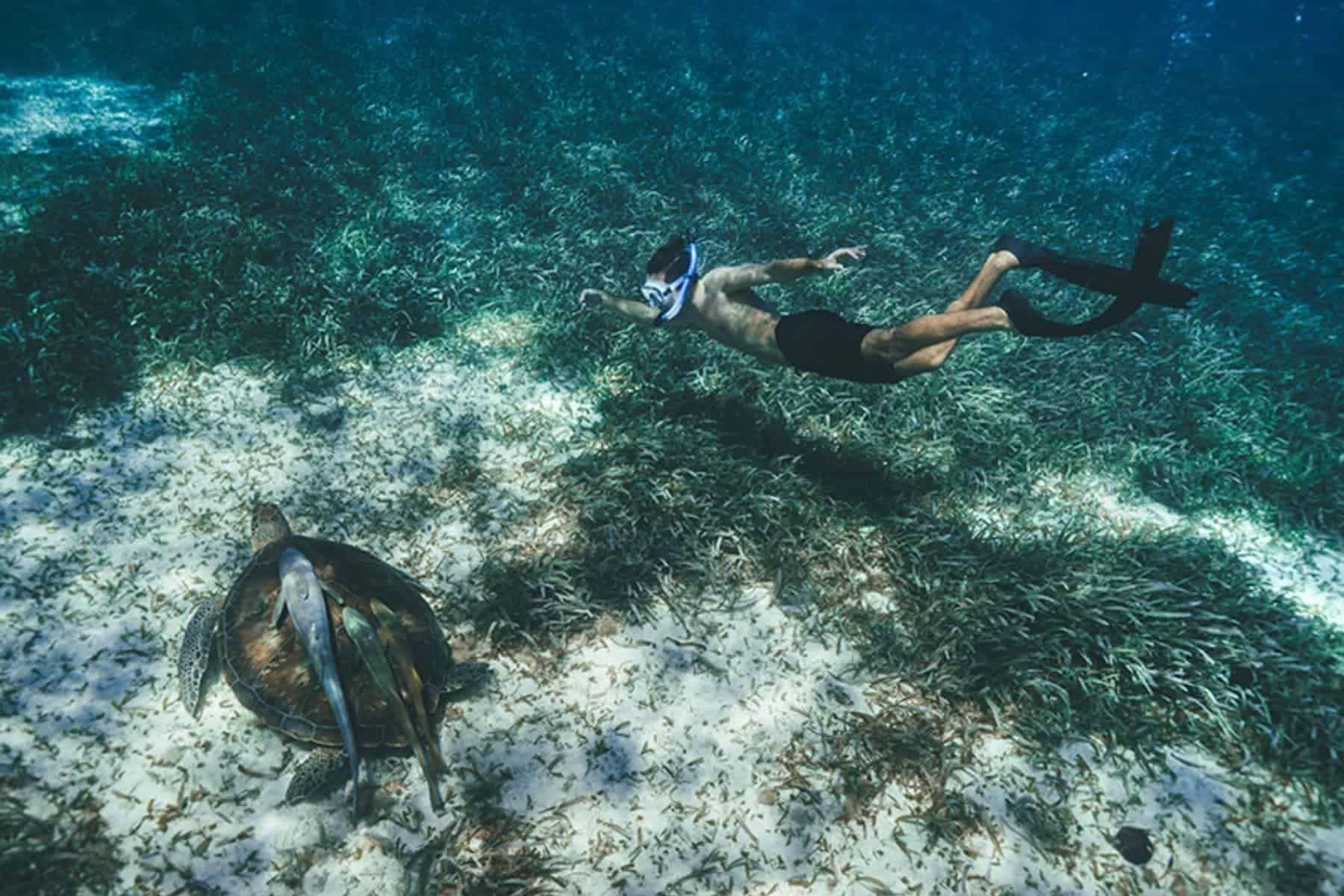 cayo-espanto-snorkel