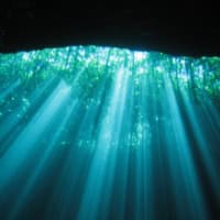 Cenote Ponderosa