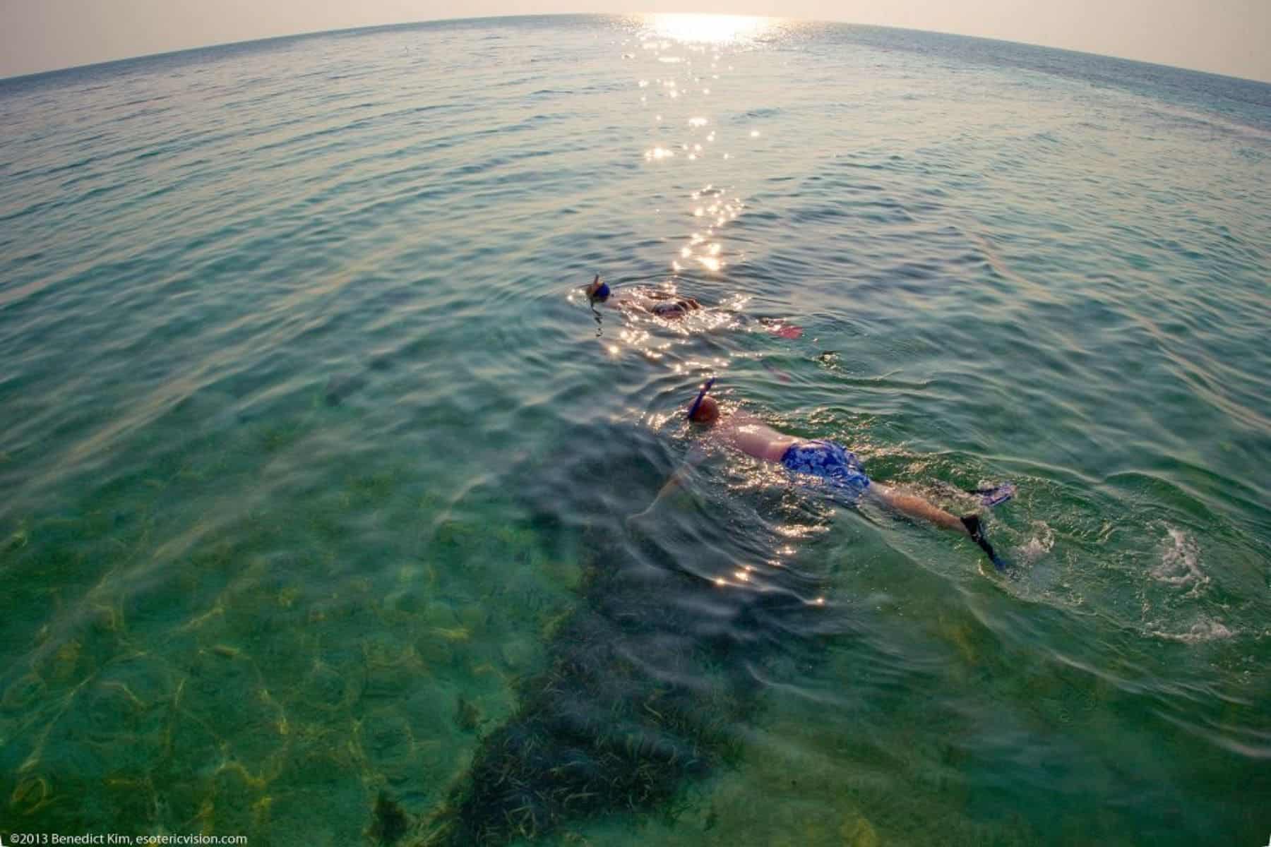 Coco Plum Island Resort Snorkel