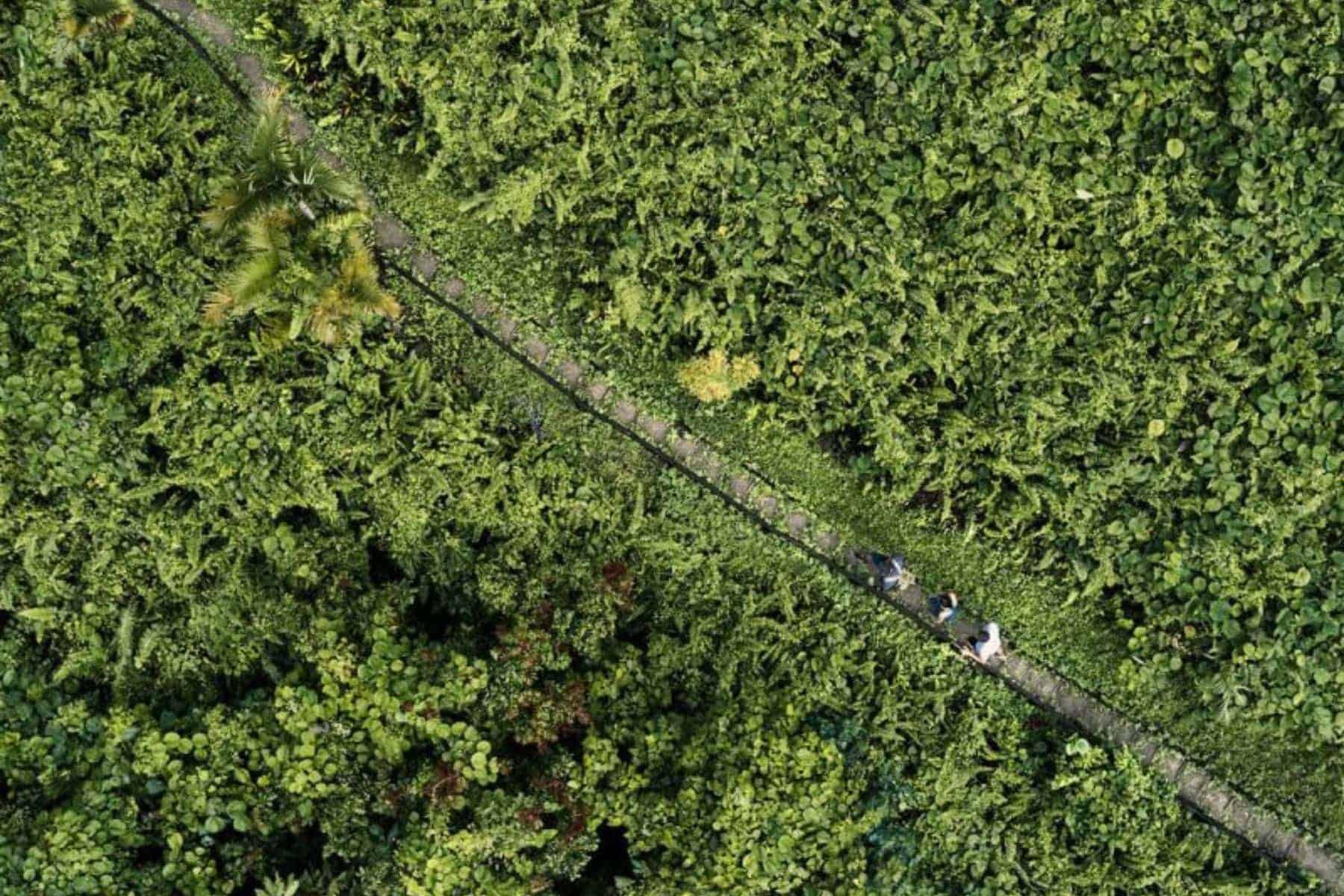 como-laucala-island-falls-hike