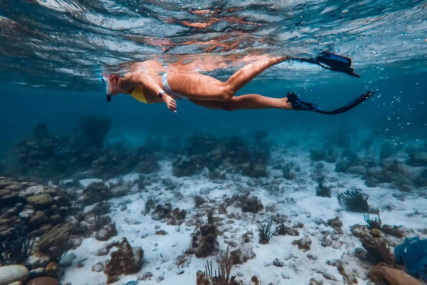 Copal Tree Lodge A Muy Ono Resort Snorkel