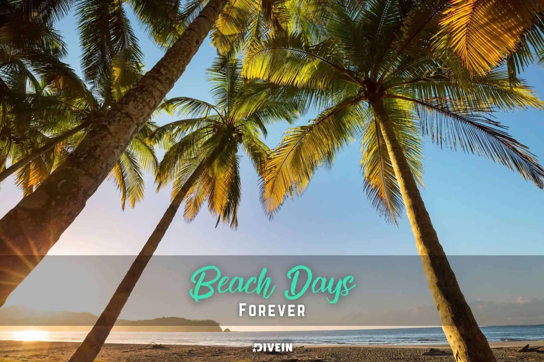 Costa Rica Quotes And Captions For Instagram Short