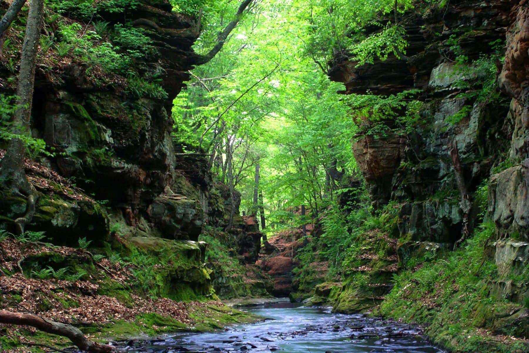 delton-grand-resort-nature