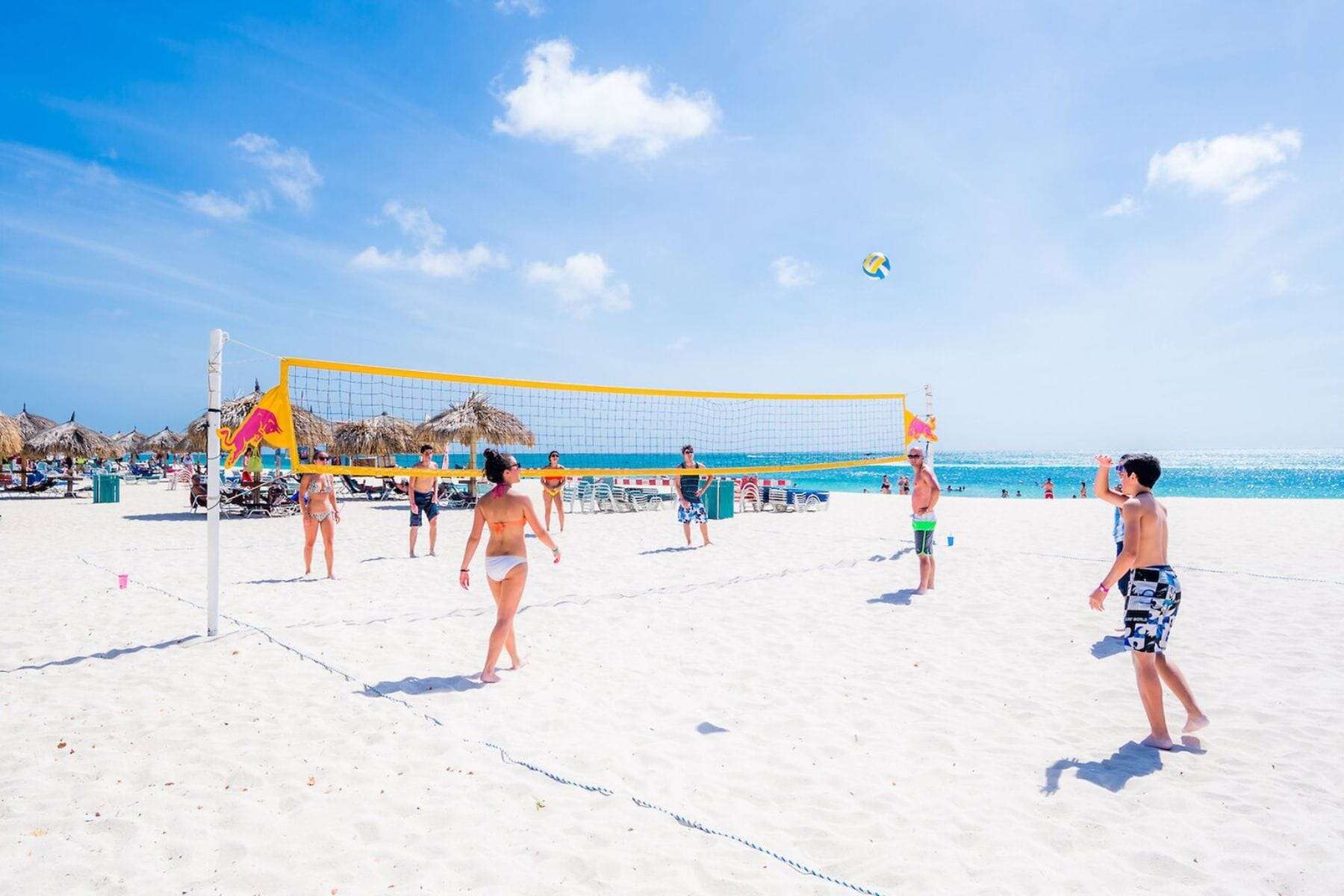 druid-beach-volleyball