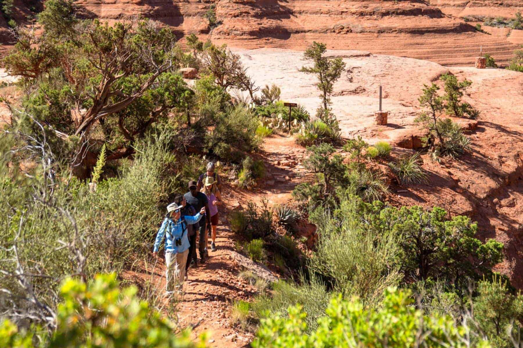 Enchantment Resort Hiking