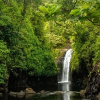 Explore Amazing Waterfalls in Taveuni